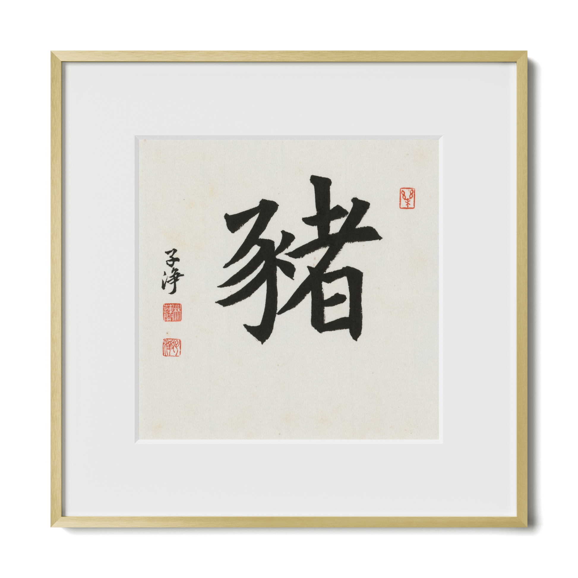 Thumbnail Label: 12X12" Gold Premium Metal | Gallery Source: Transparent