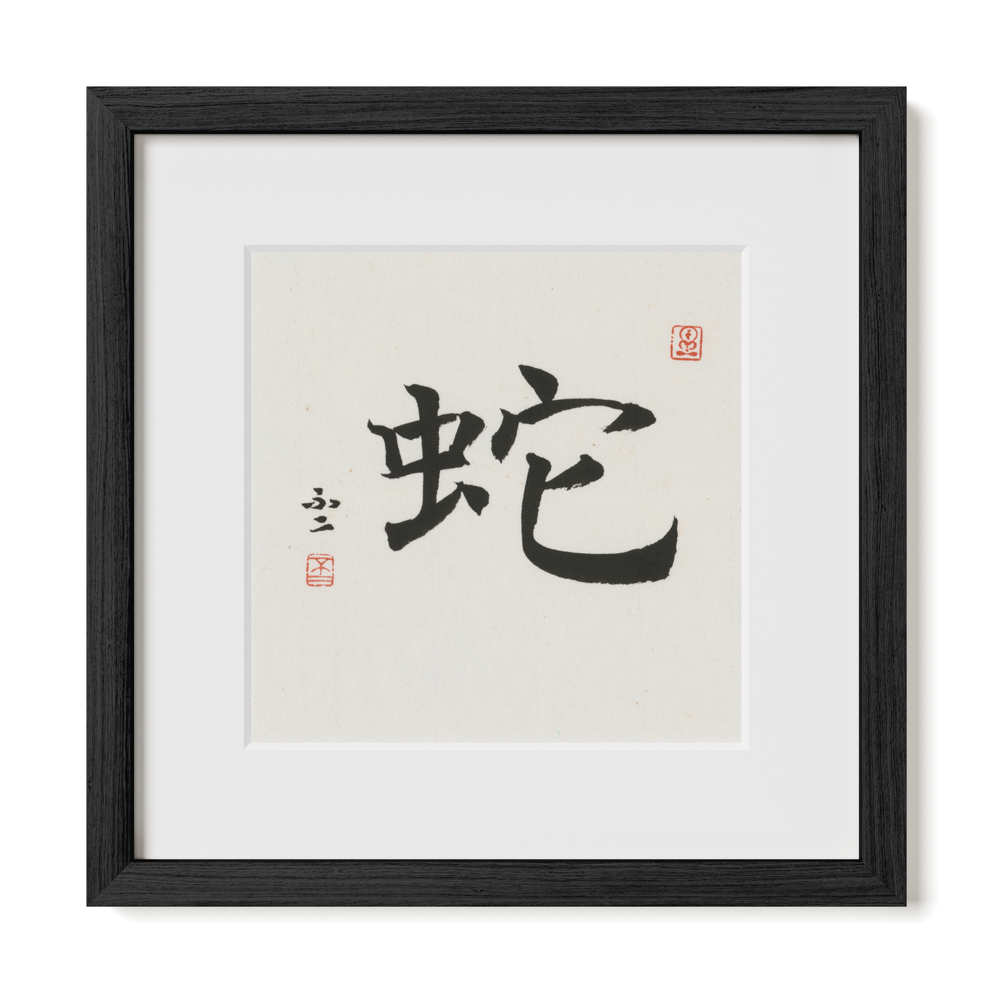 Thumbnail Label: 12X12" Black Premium Oak | Gallery Source: Transparent
