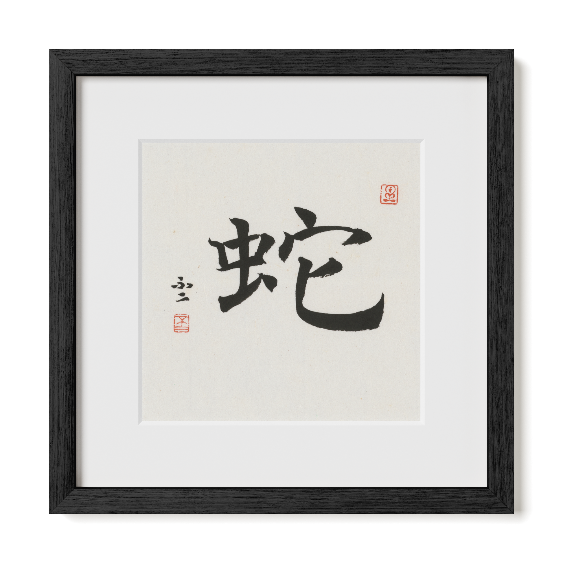 Thumbnail Label: 12X12" Black Premium Oak | Gallery Source: Transparent