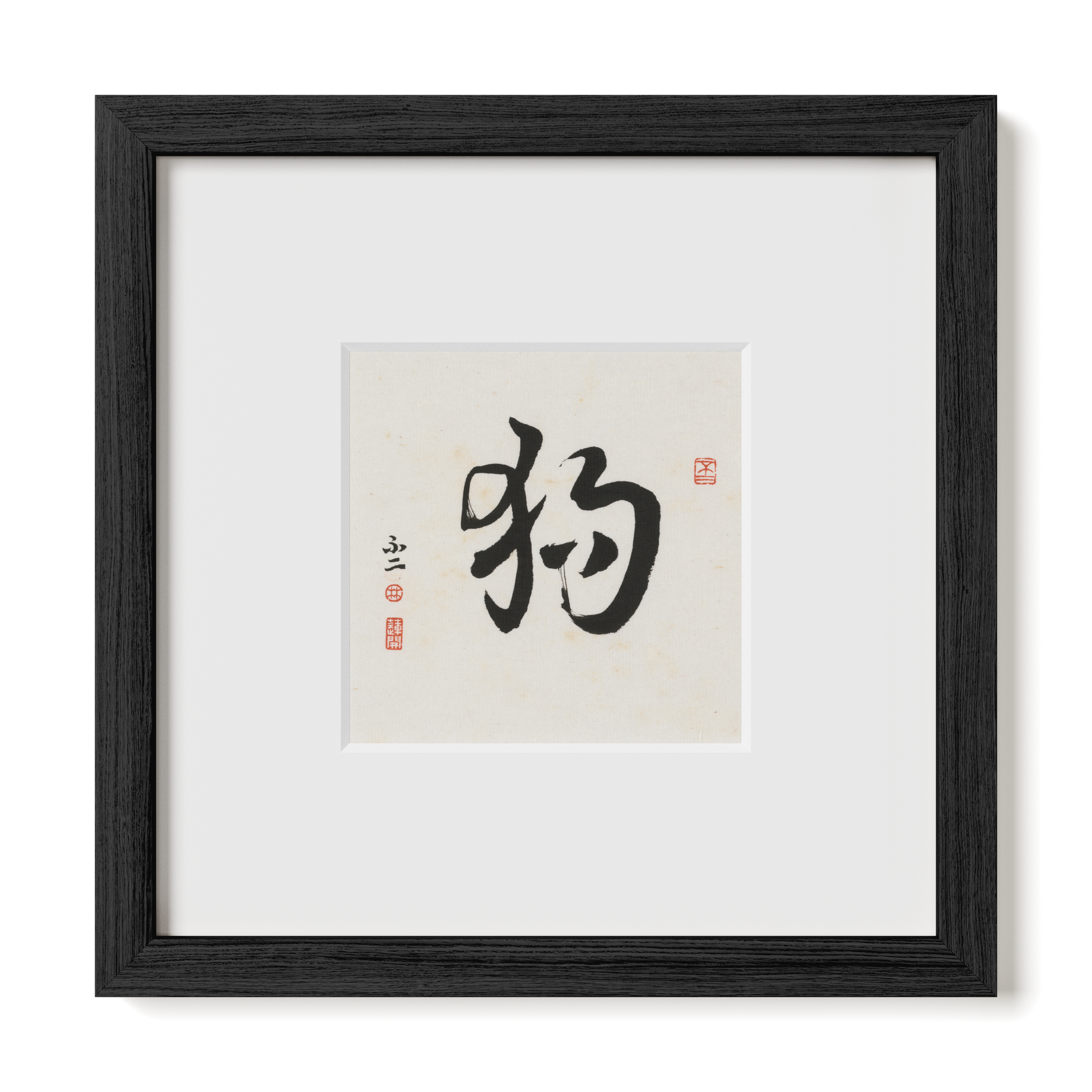 Thumbnail Label: 10X10" Black Premium Oak | Gallery Source: Transparent