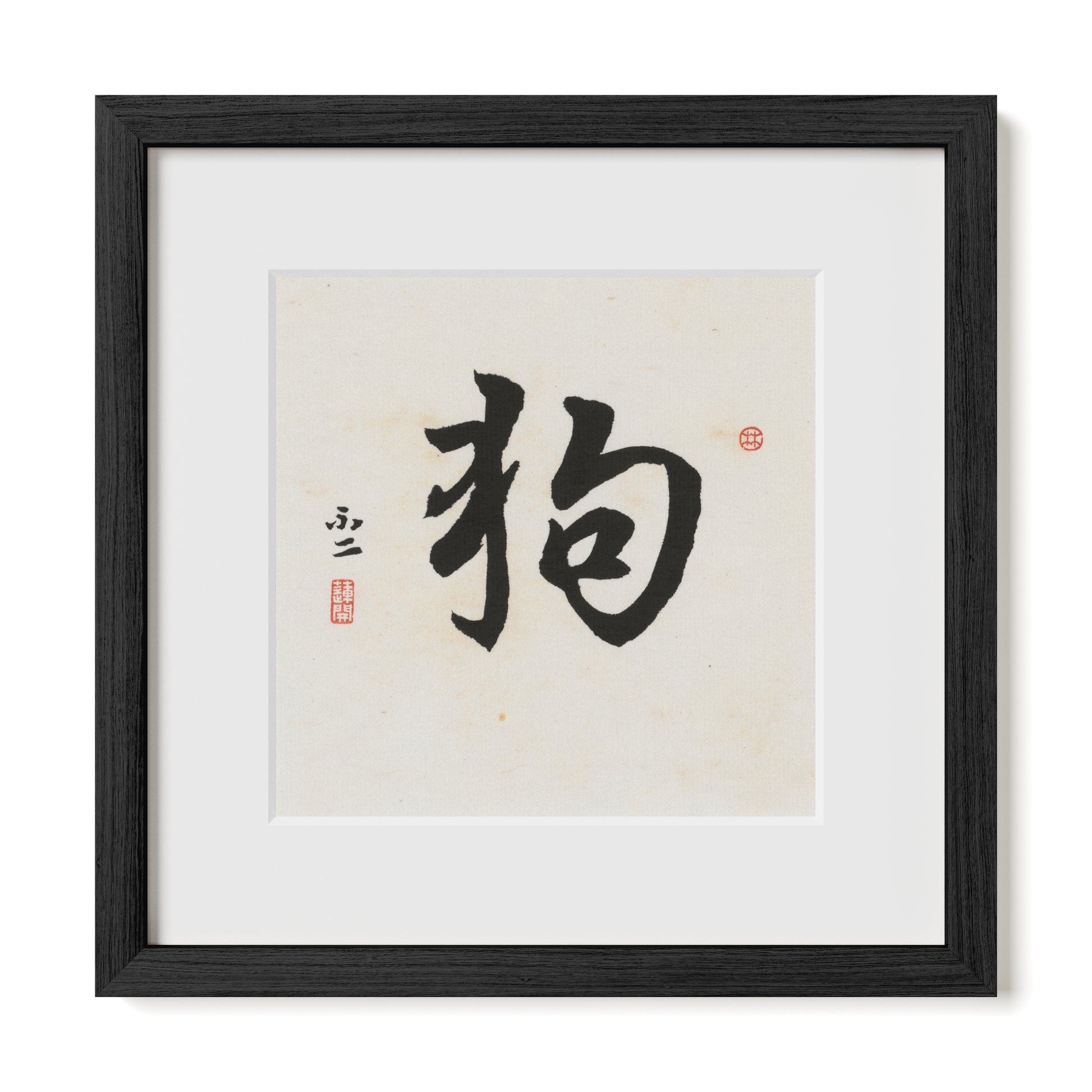 Thumbnail Label: 12X12" Black Premium Oak | Gallery Source: Transparent