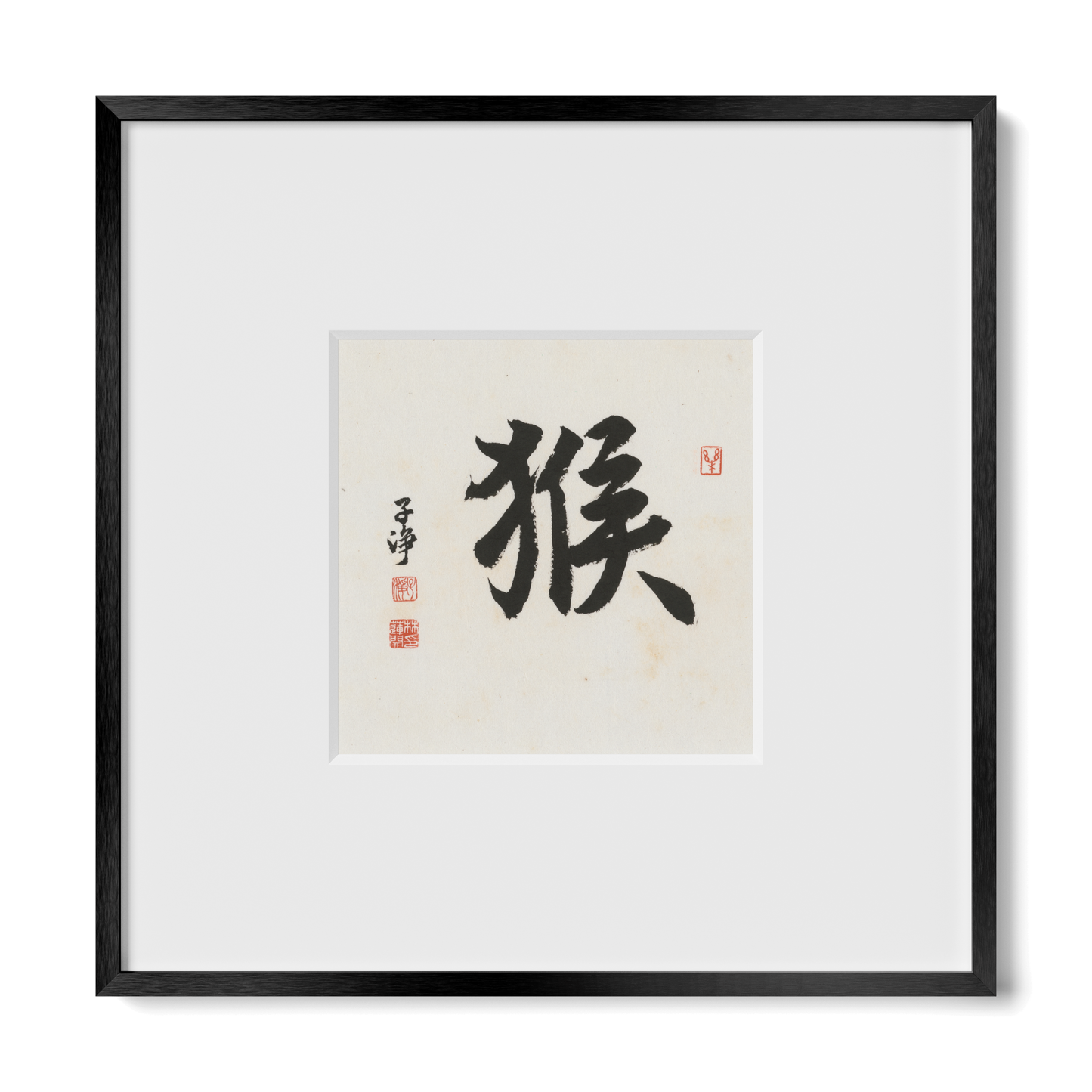Thumbnail Label: 10X10" Black Premium Metal | Gallery Source: Transparent
