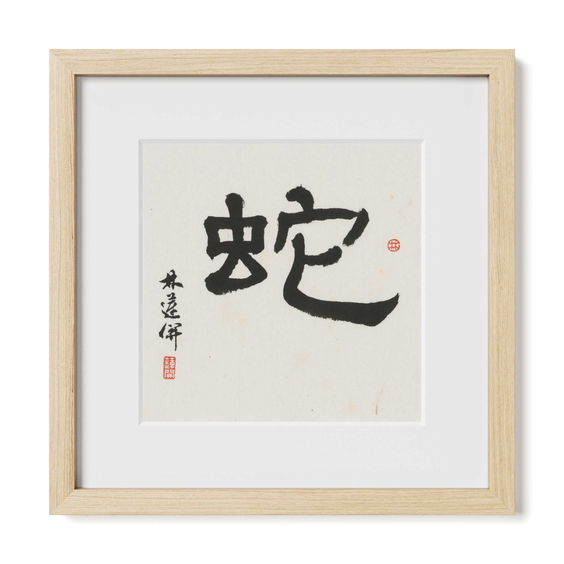 Thumbnail Label: 12X12" Natural Premium Oak | Gallery Source: Transparent
