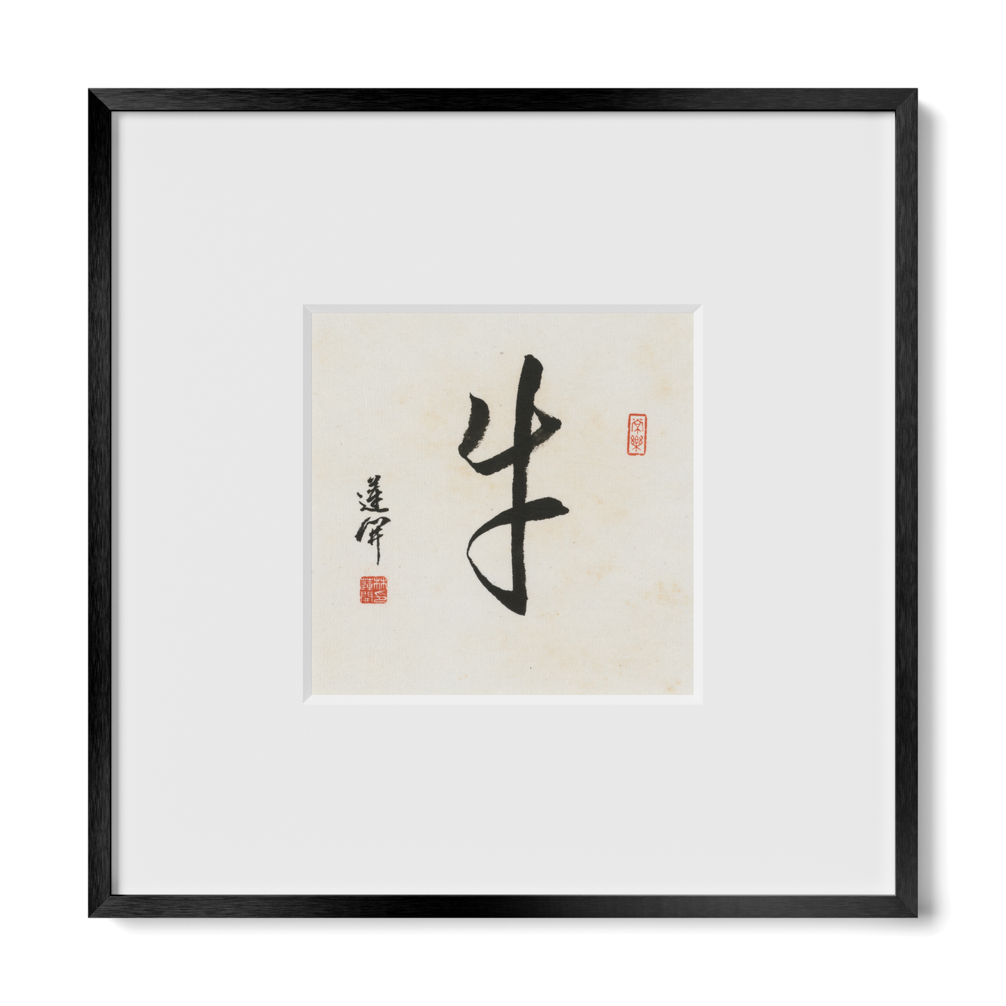 Thumbnail Label: 10X10" Black Premium Metal | Gallery Source: Transparent