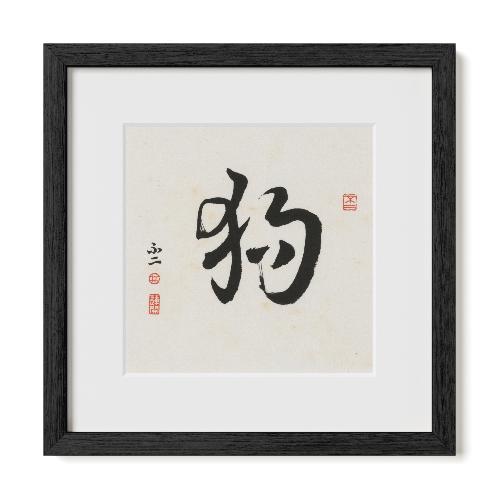 Thumbnail Label: 12X12" Black Premium Oak | Gallery Source: Transparent