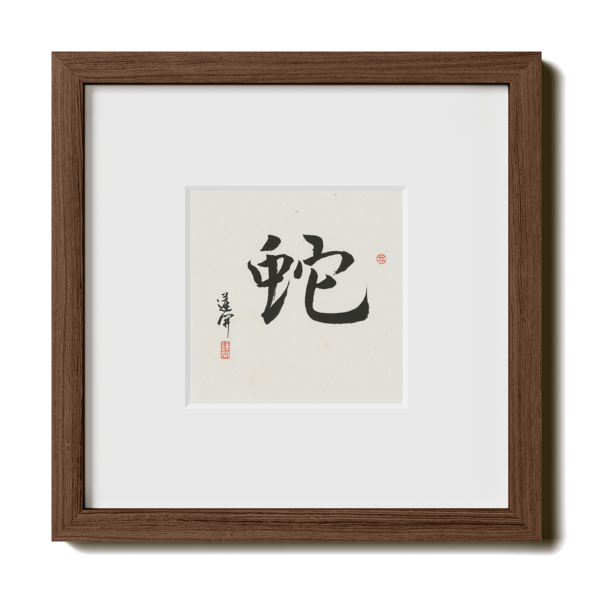 Thumbnail Label: 10X10" Walnut Premium Oak | Gallery Source: Transparent