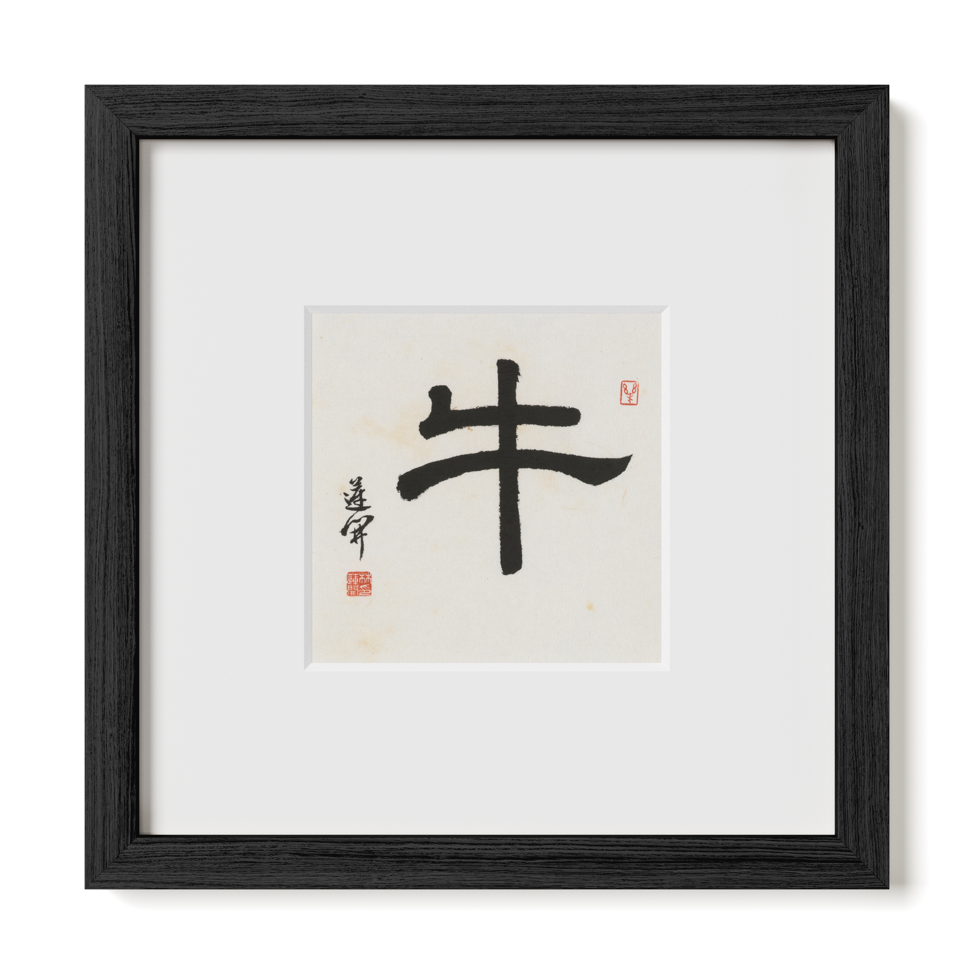 Thumbnail Label: 10X10" Black Premium Oak | Gallery Source: Transparent