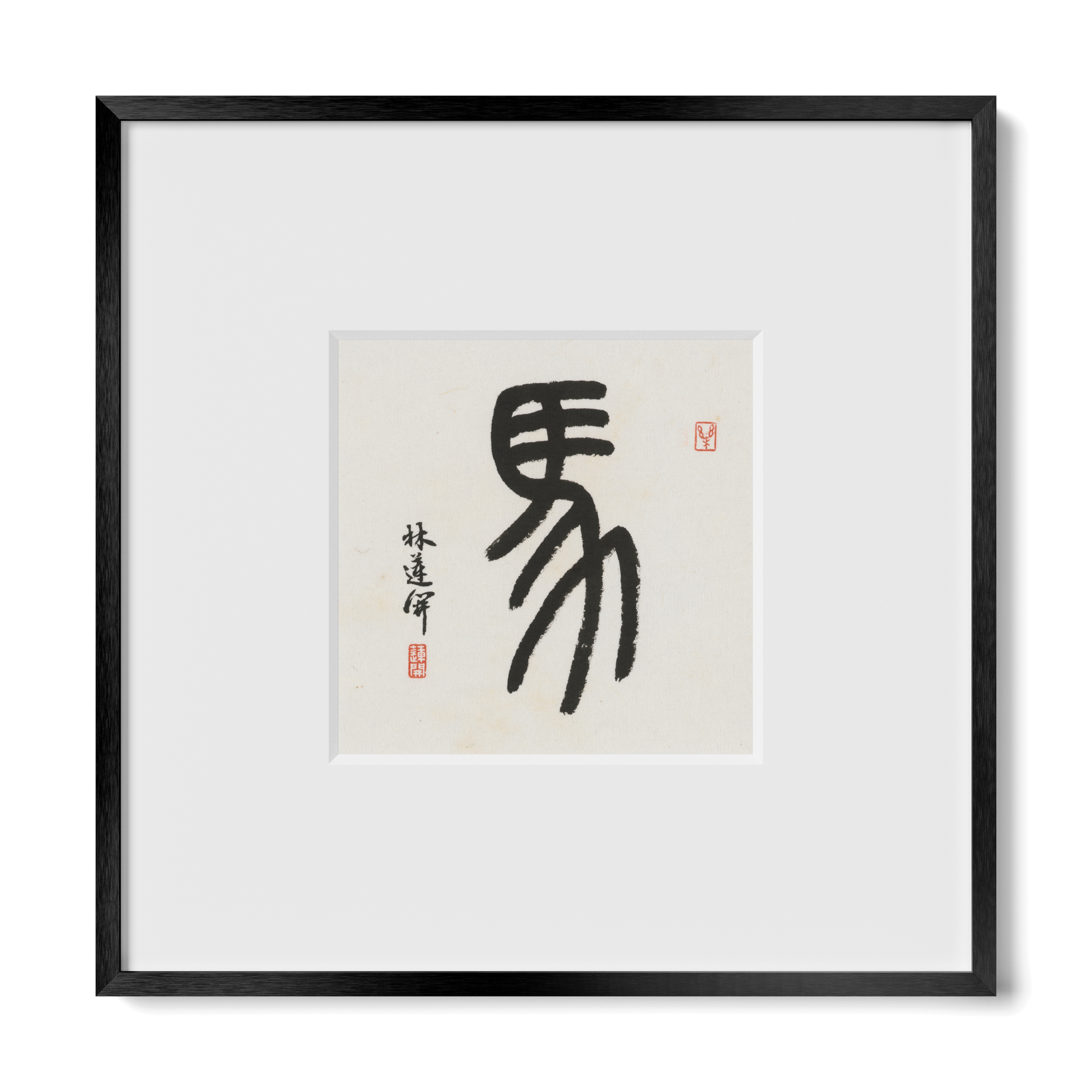 Thumbnail Label: 10X10" Black Premium Metal | Gallery Source: Transparent