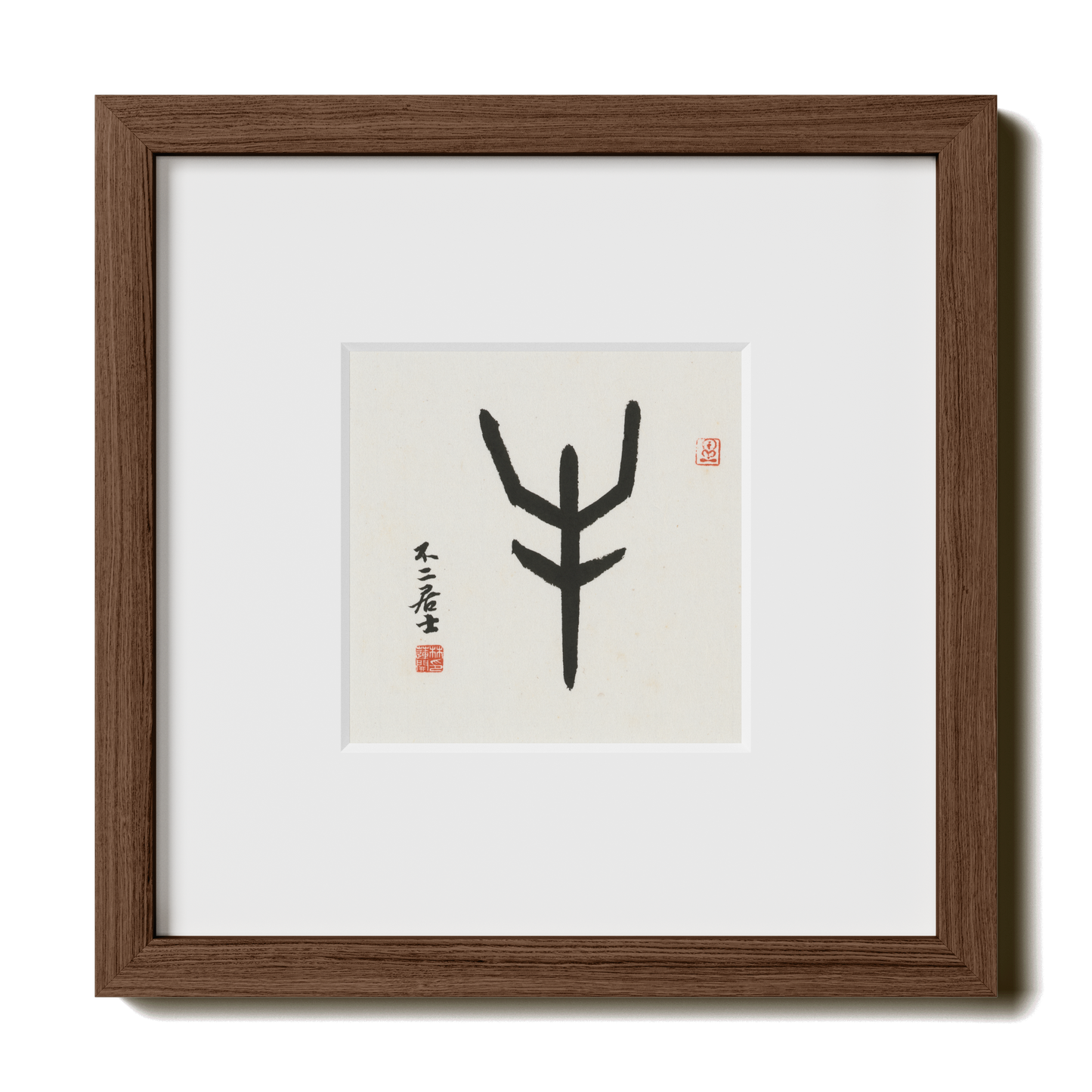 Thumbnail Label: 10X10" Walnut Premium Oak | Gallery Source: Transparent