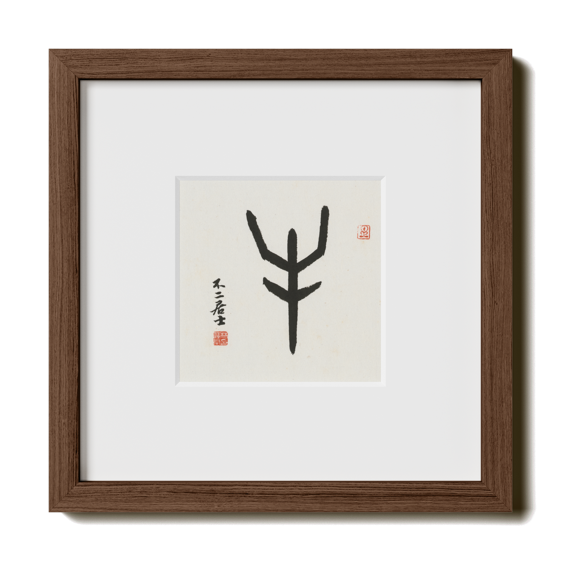 Thumbnail Label: 10X10" Walnut Premium Oak | Gallery Source: Transparent