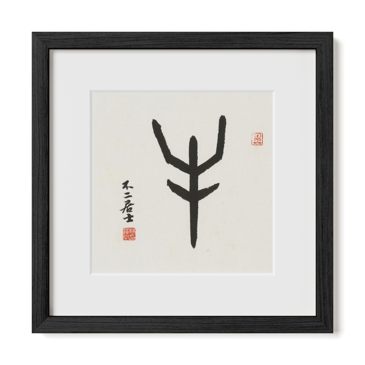 Thumbnail Label: 12X12" Black Premium Oak | Gallery Source: Transparent
