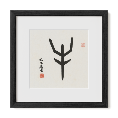 Thumbnail Label: 12X12" Black Premium Oak | Gallery Source: Transparent