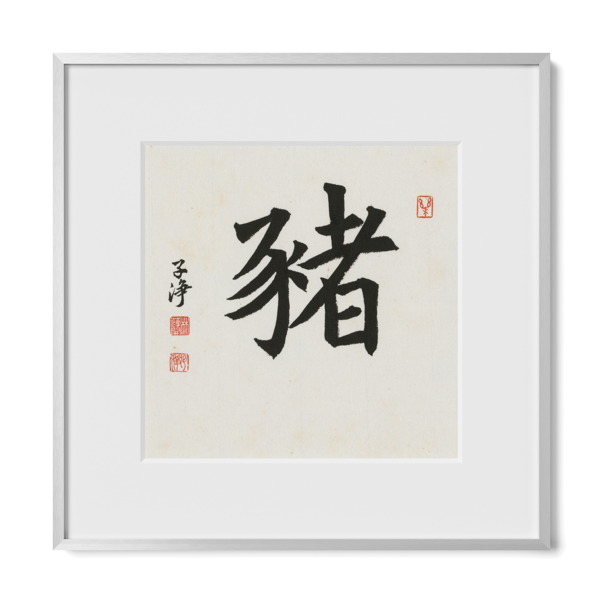 Thumbnail Label: 12X12" Silver Premium Metal | Gallery Source: Transparent