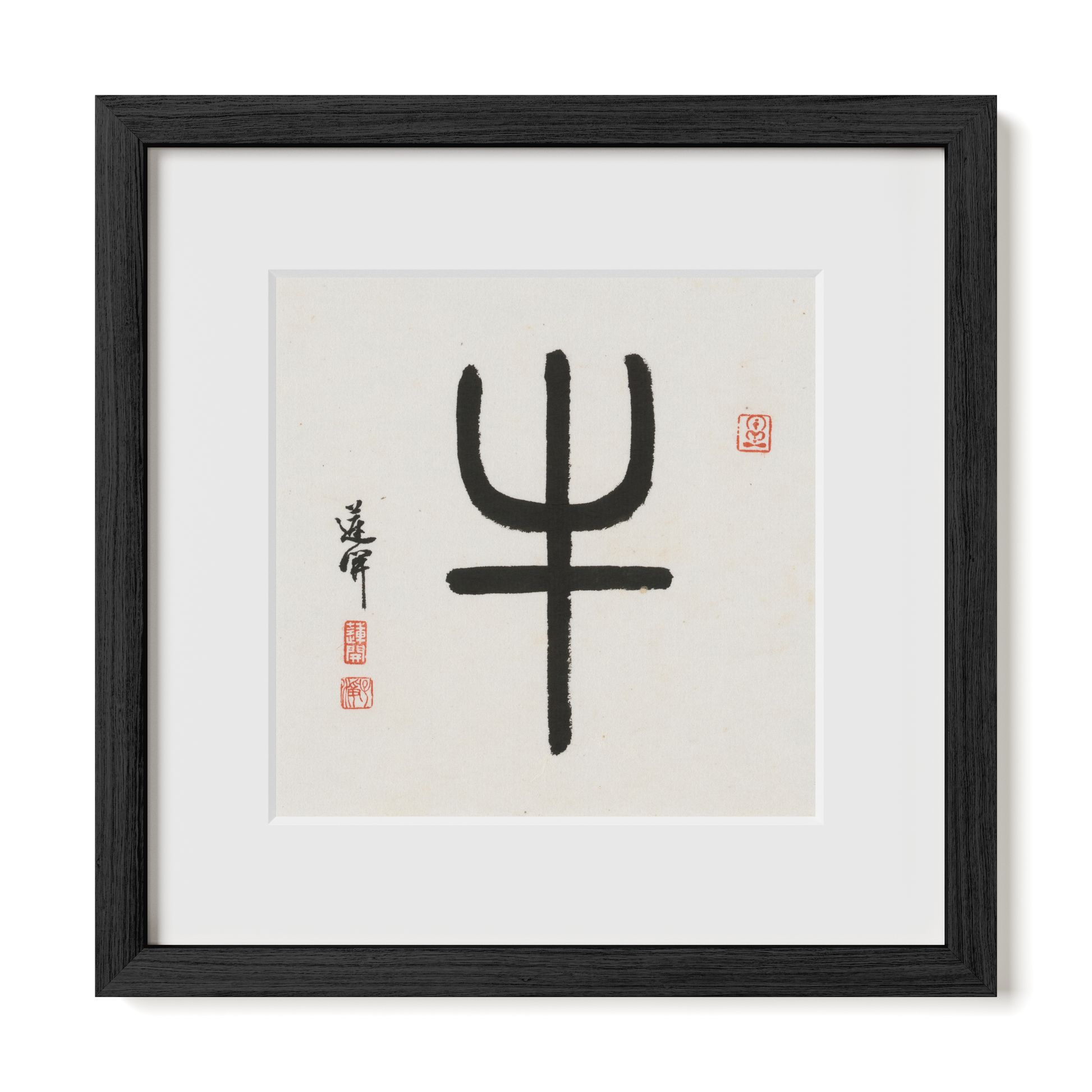 Thumbnail Label: 12X12" Black Premium Oak | Gallery Source: Transparent