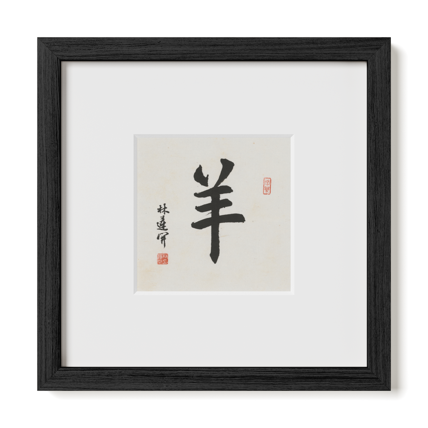 Thumbnail Label: 10X10" Black Premium Oak | Gallery Source: Transparent