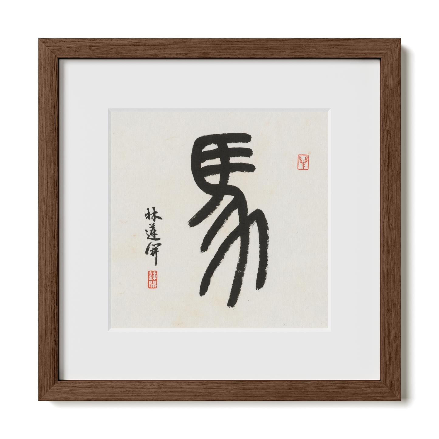 Thumbnail Label: 12X12" Walnut Premium Oak | Gallery Source: Transparent