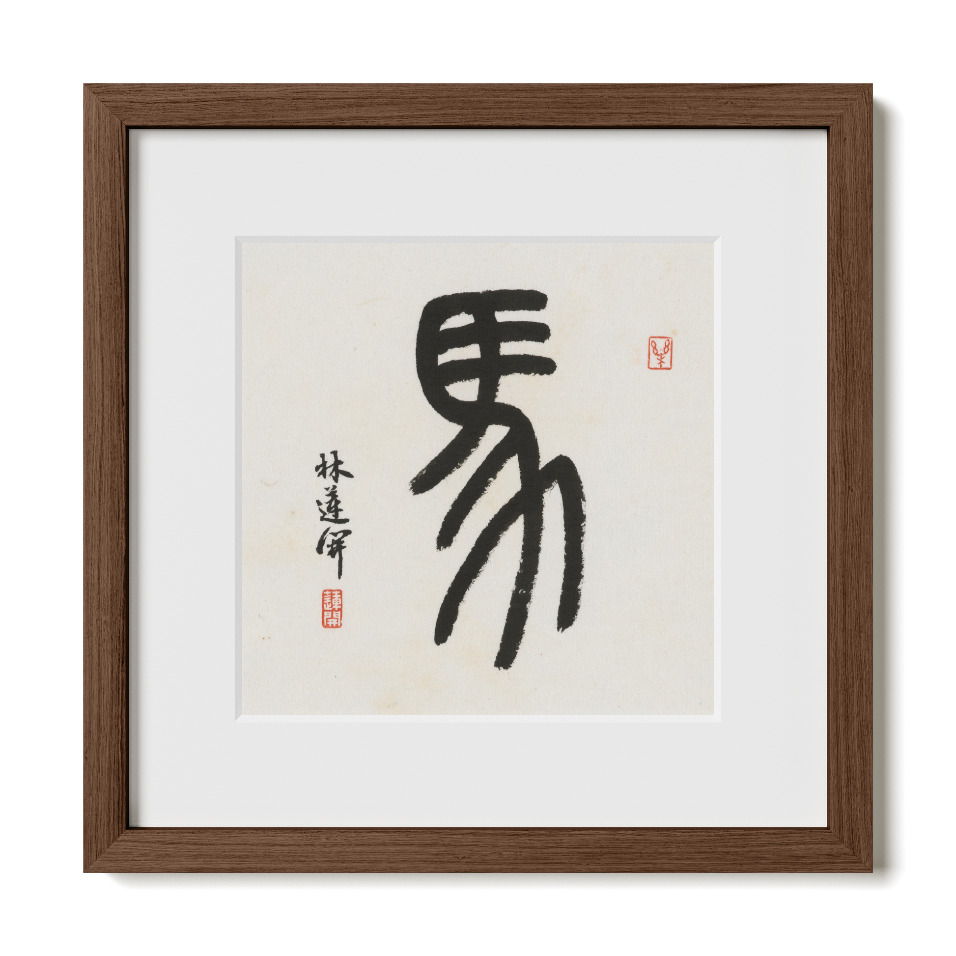 Thumbnail Label: 12X12" Walnut Premium Oak | Gallery Source: Transparent