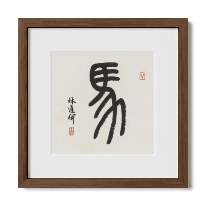 Thumbnail Label: 12X12" Walnut Premium Oak | Gallery Source: Transparent