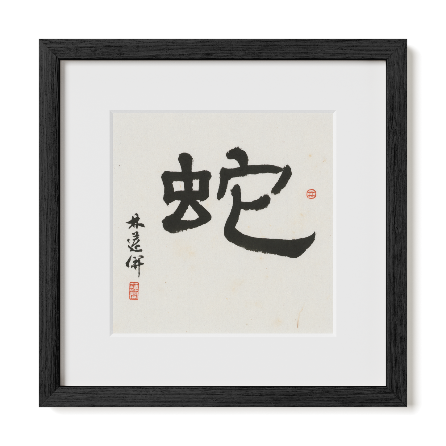Thumbnail Label: 12X12" Black Premium Oak | Gallery Source: Transparent
