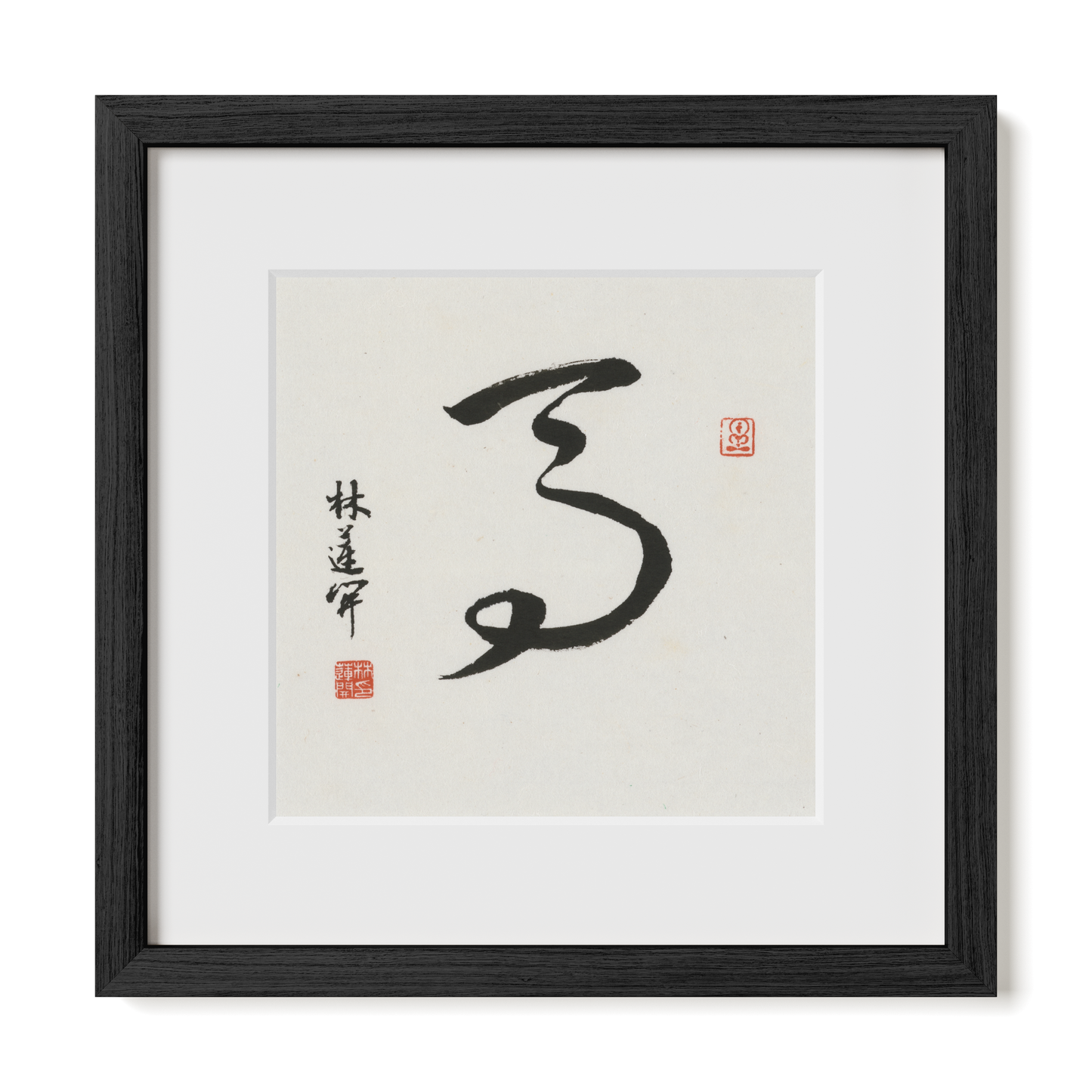 Thumbnail Label: 12X12" Black Premium Oak | Gallery Source: Transparent