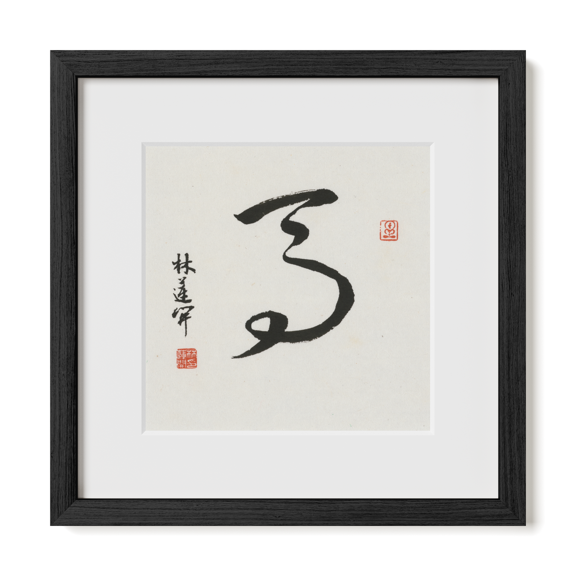 Thumbnail Label: 12X12" Black Premium Oak | Gallery Source: Transparent