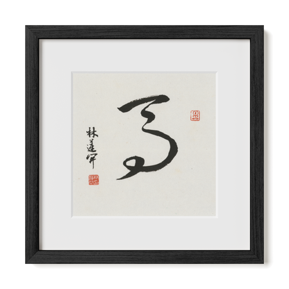 Thumbnail Label: 12X12" Black Premium Oak | Gallery Source: Transparent