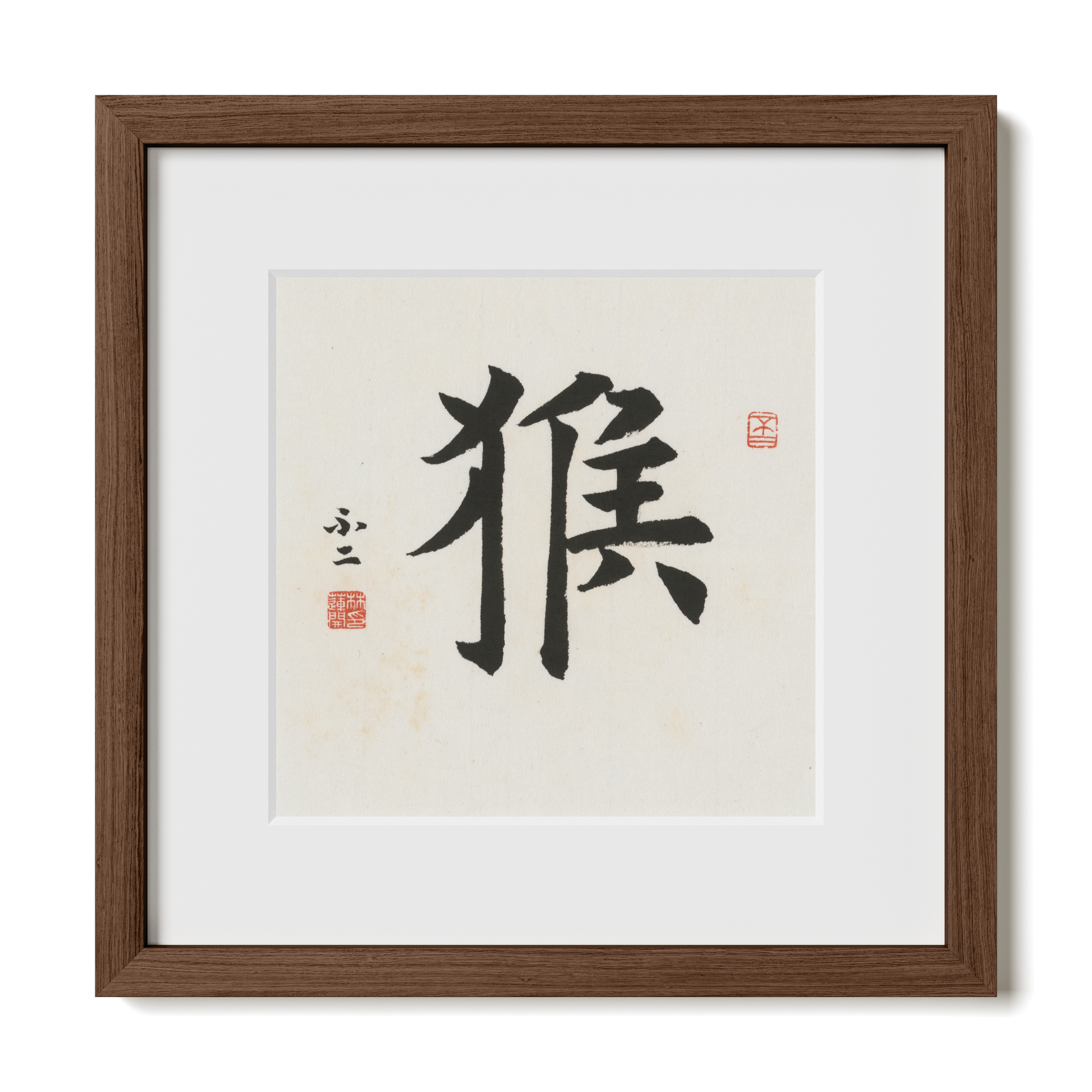 Thumbnail Label: 12X12" Walnut Premium Oak | Gallery Source: Transparent