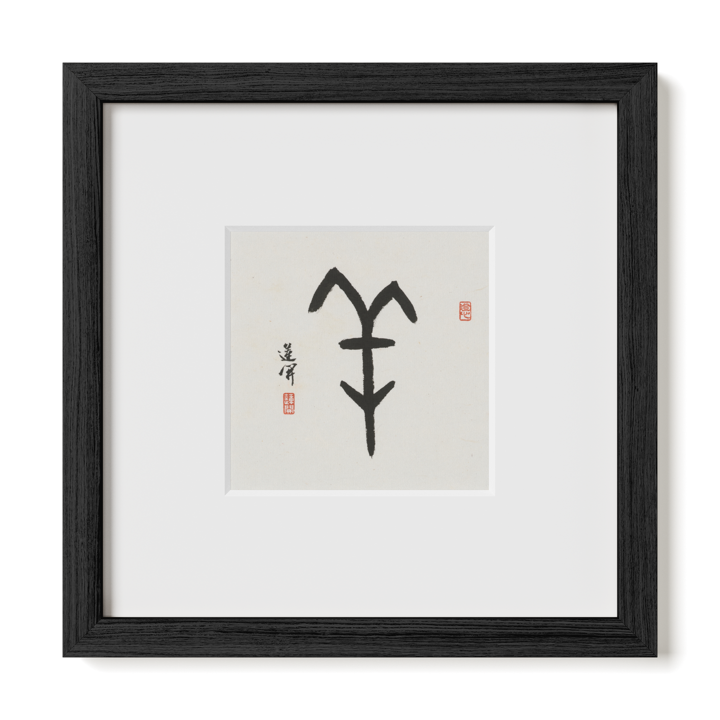 Thumbnail Label: 10X10" Black Premium Oak | Gallery Source: Transparent