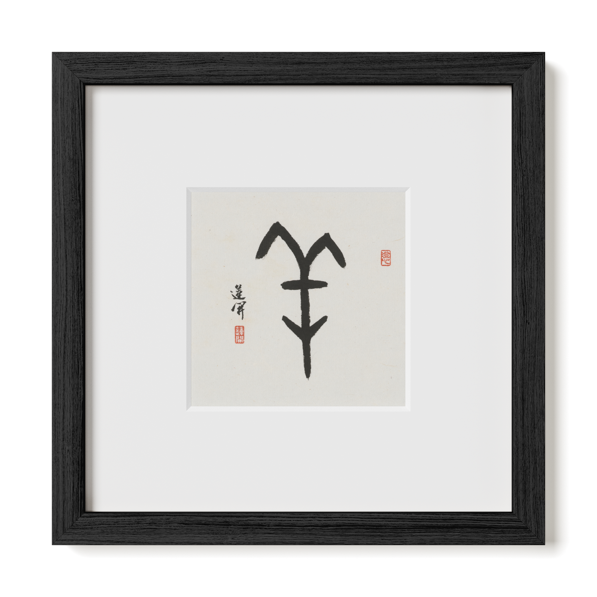 Thumbnail Label: 10X10" Black Premium Oak | Gallery Source: Transparent
