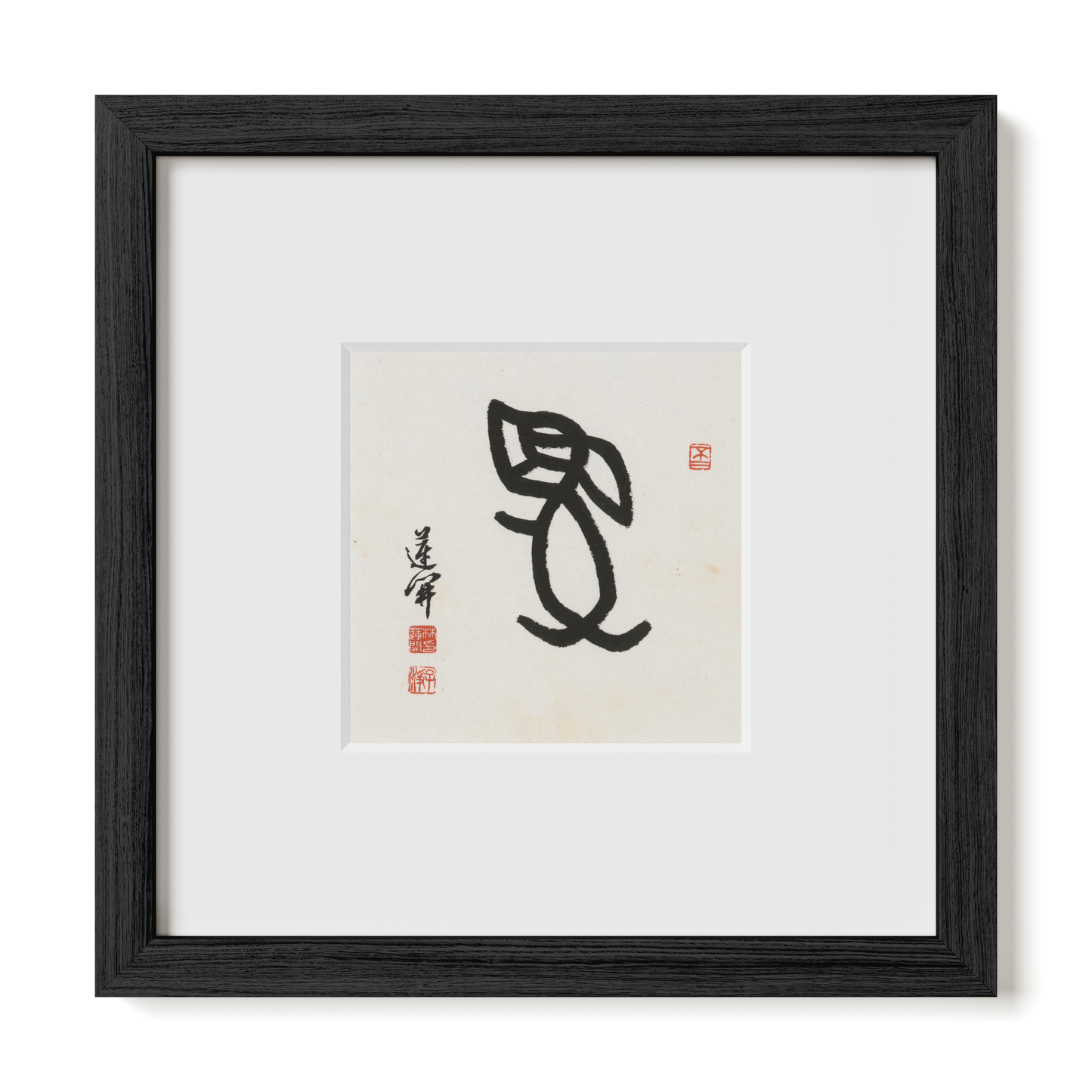 Thumbnail Label: 10X10" Black Premium Oak | Gallery Source: Transparent