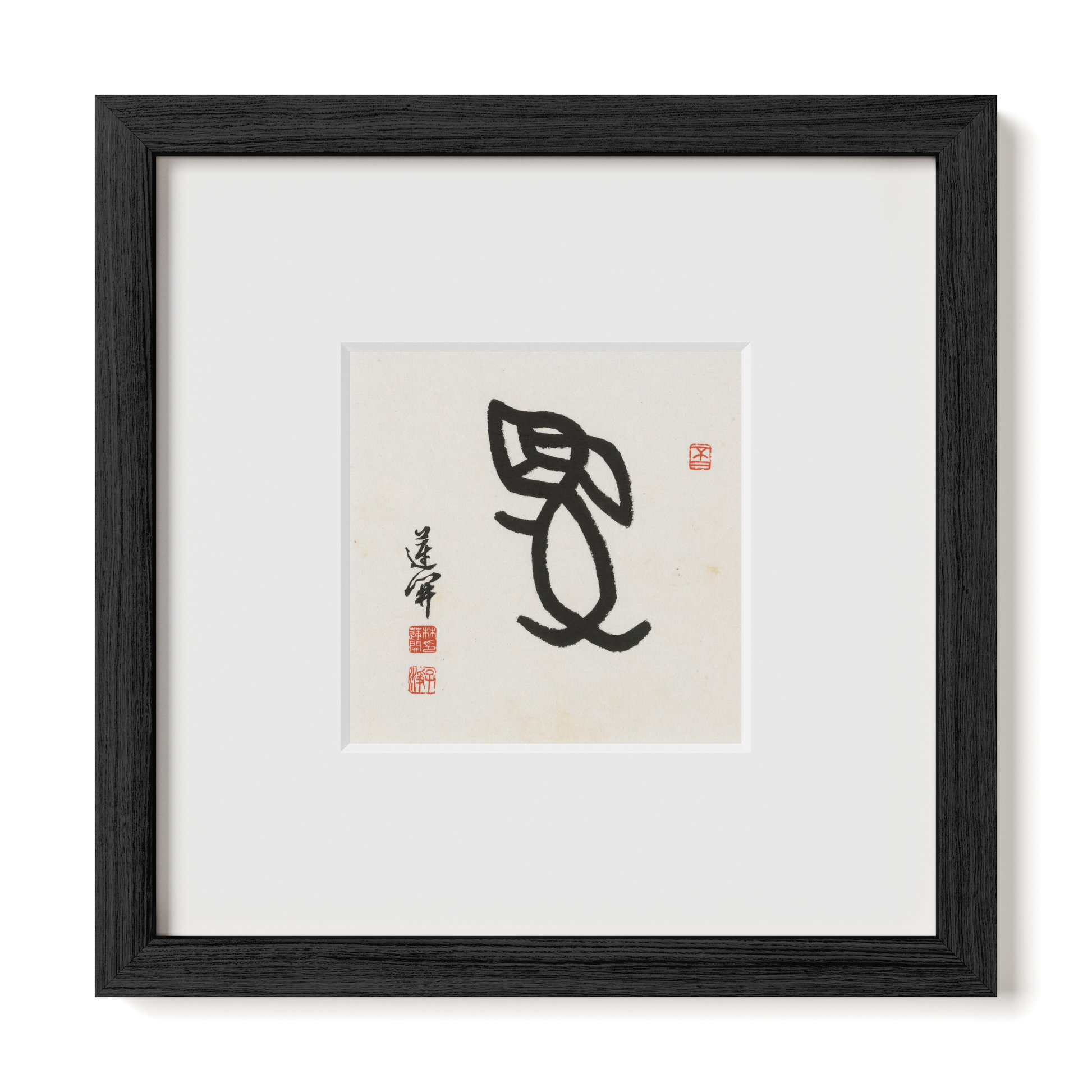 Thumbnail Label: 10X10" Black Premium Oak | Gallery Source: Transparent