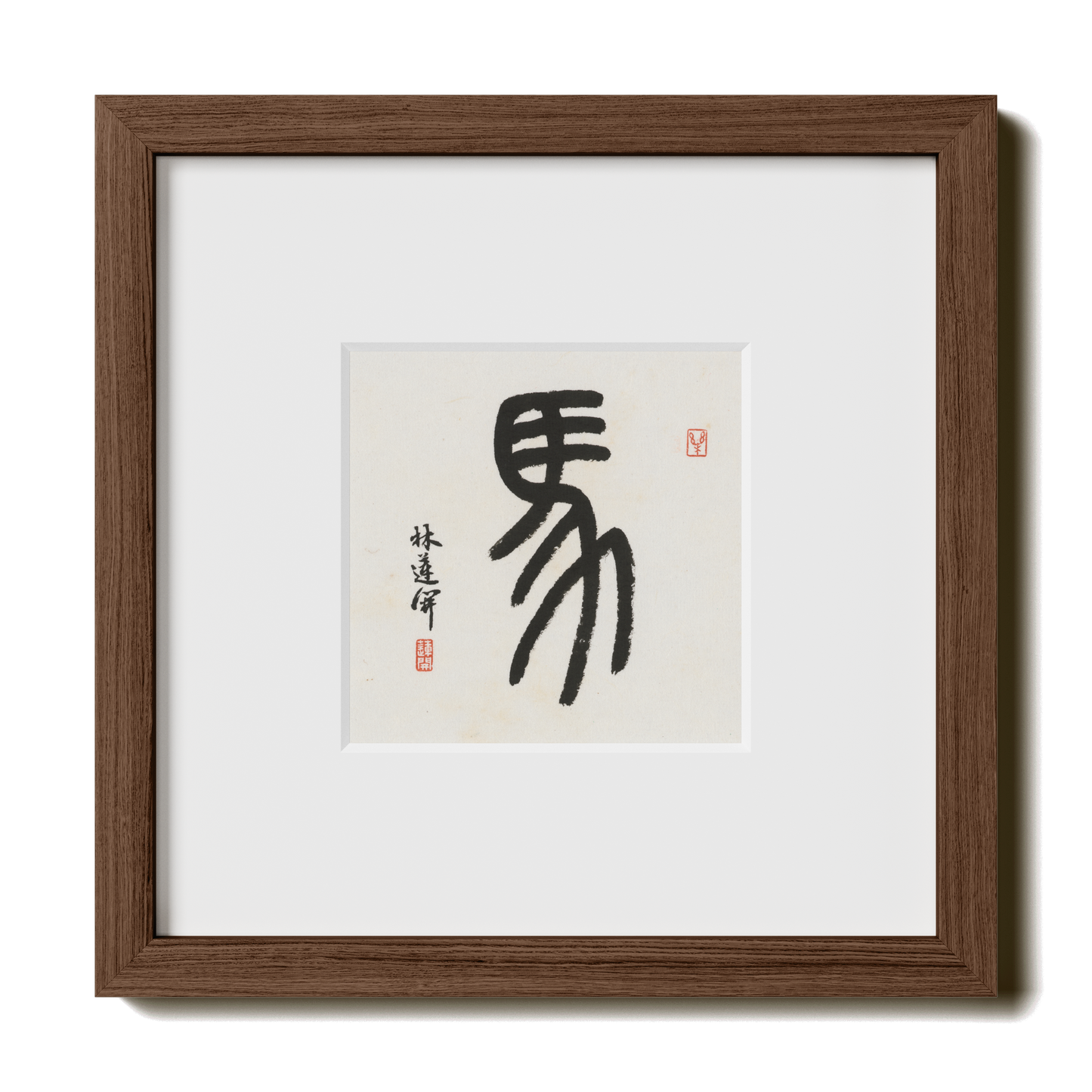 Thumbnail Label: 10X10" Walnut Premium Oak | Gallery Source: Transparent