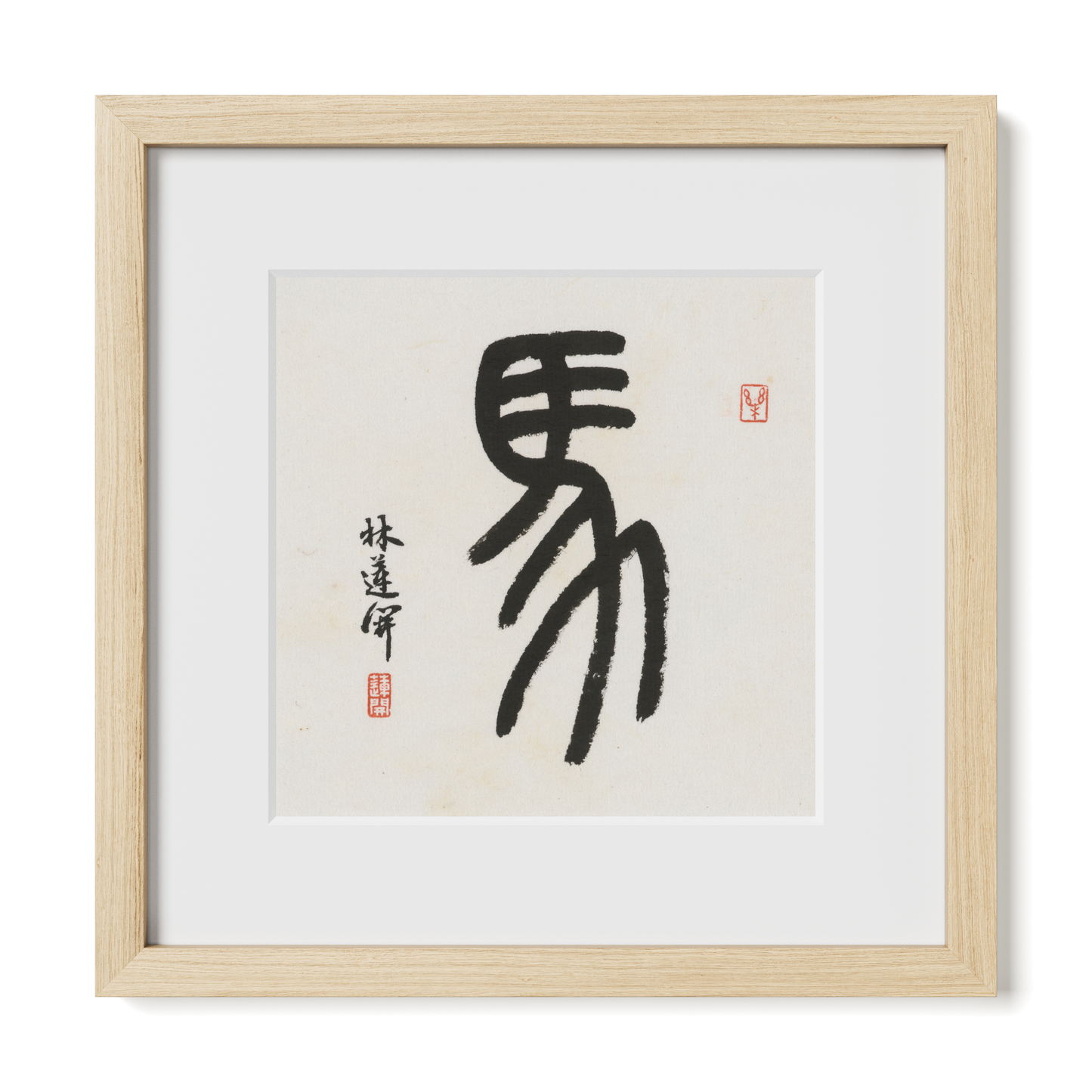 Thumbnail Label: 12X12" Natural Premium Oak | Gallery Source: Transparent