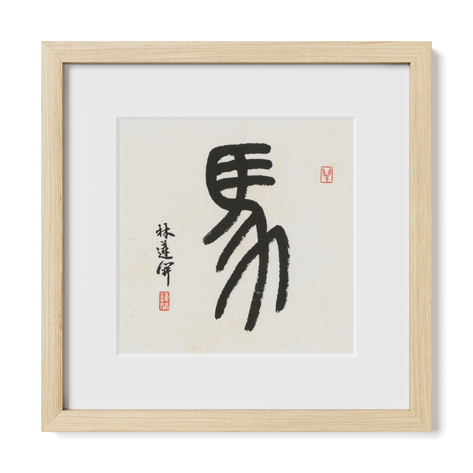 Thumbnail Label: 12X12" Natural Premium Oak | Gallery Source: Transparent
