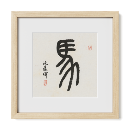 Thumbnail Label: 12X12" Natural Premium Oak | Gallery Source: Transparent