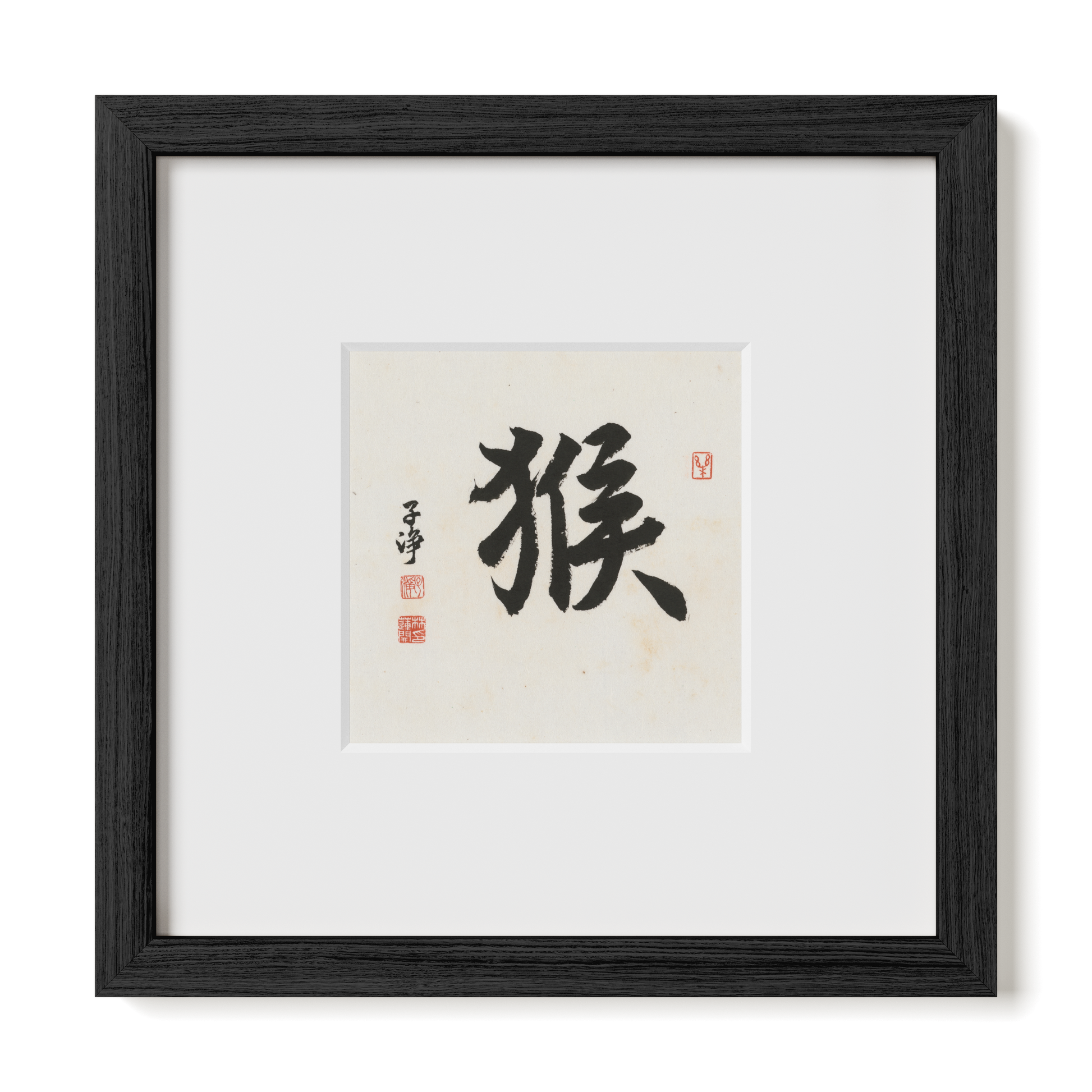 Thumbnail Label: 10X10" Black Premium Oak | Gallery Source: Transparent