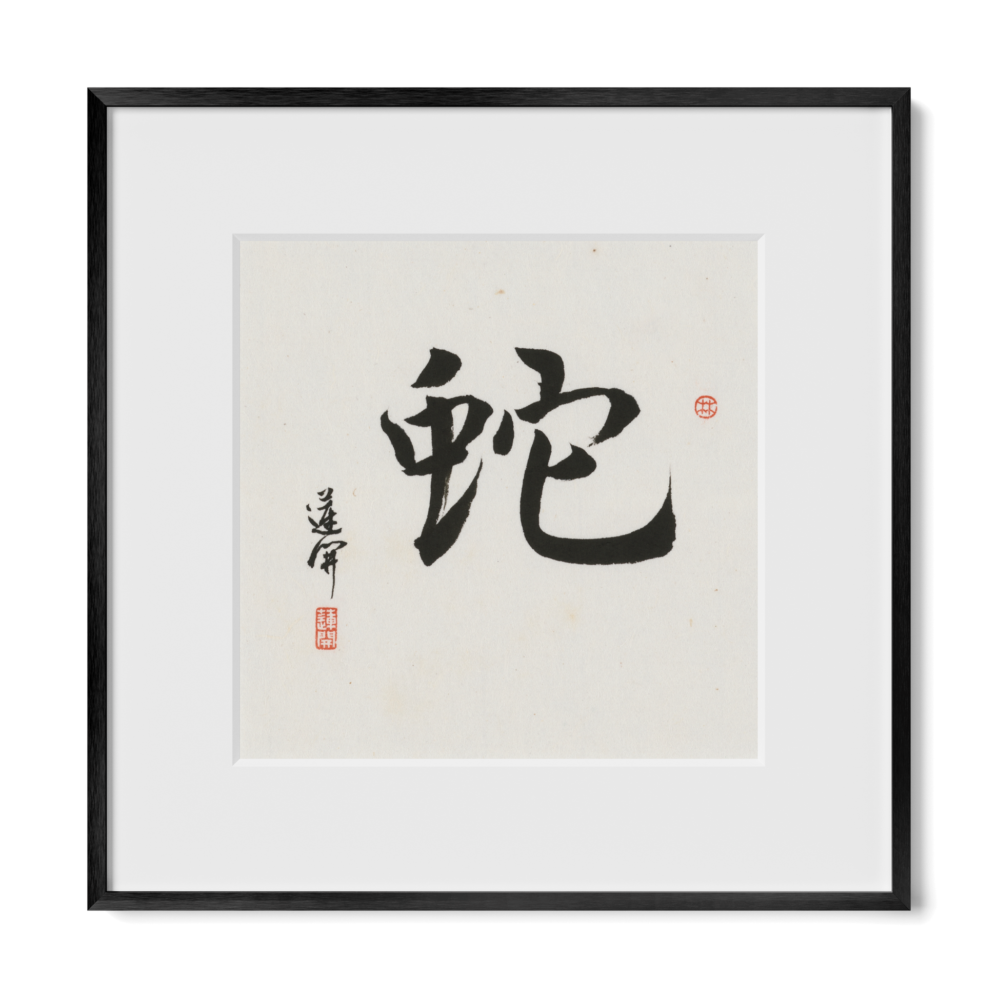 Thumbnail Label: 12X12" Black Premium Metal | Gallery Source: Transparent