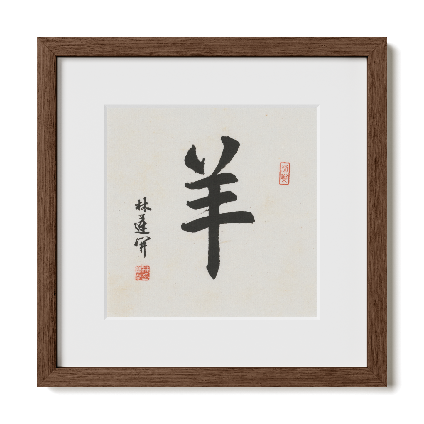 Thumbnail Label: 12X12" Walnut Premium Oak | Gallery Source: Transparent