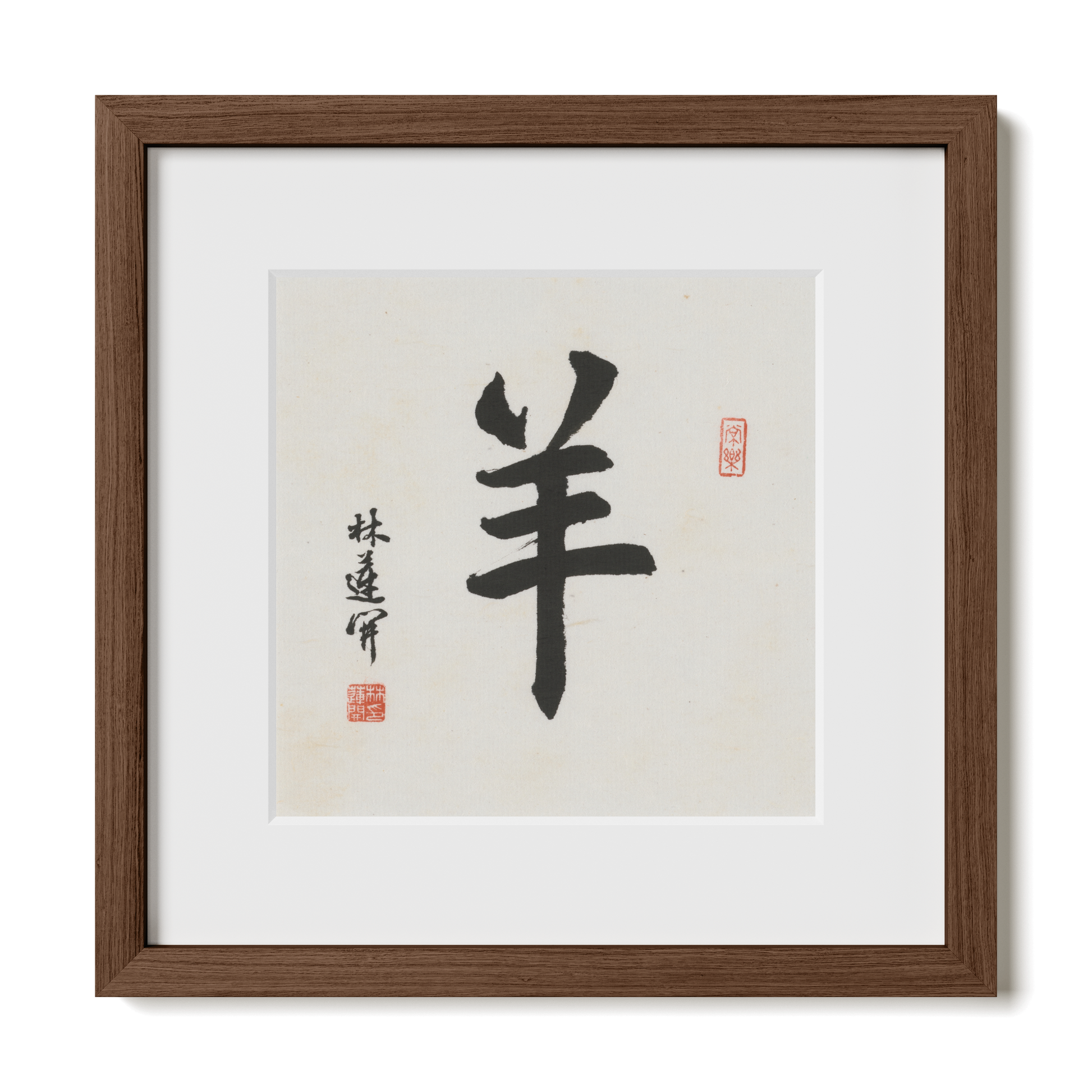 Thumbnail Label: 12X12" Walnut Premium Oak | Gallery Source: Transparent