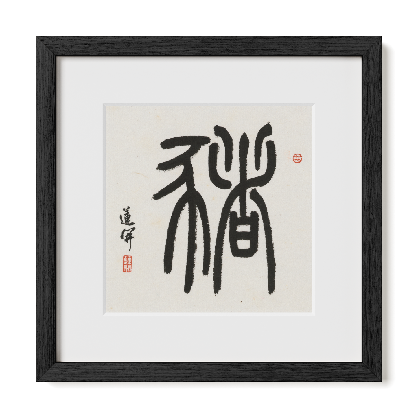 Thumbnail Label: 12X12" Black Premium Oak | Gallery Source: Transparent