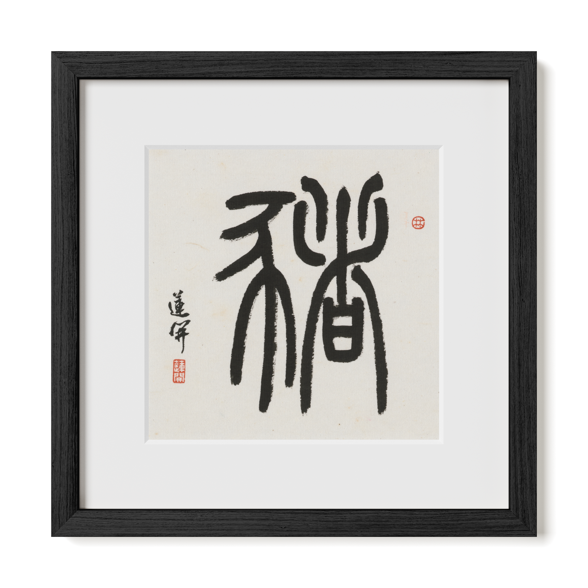 Thumbnail Label: 12X12" Black Premium Oak | Gallery Source: Transparent