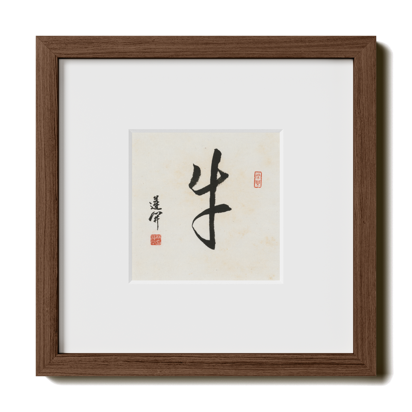 Thumbnail Label: 10X10" Walnut Premium Oak | Gallery Source: Transparent