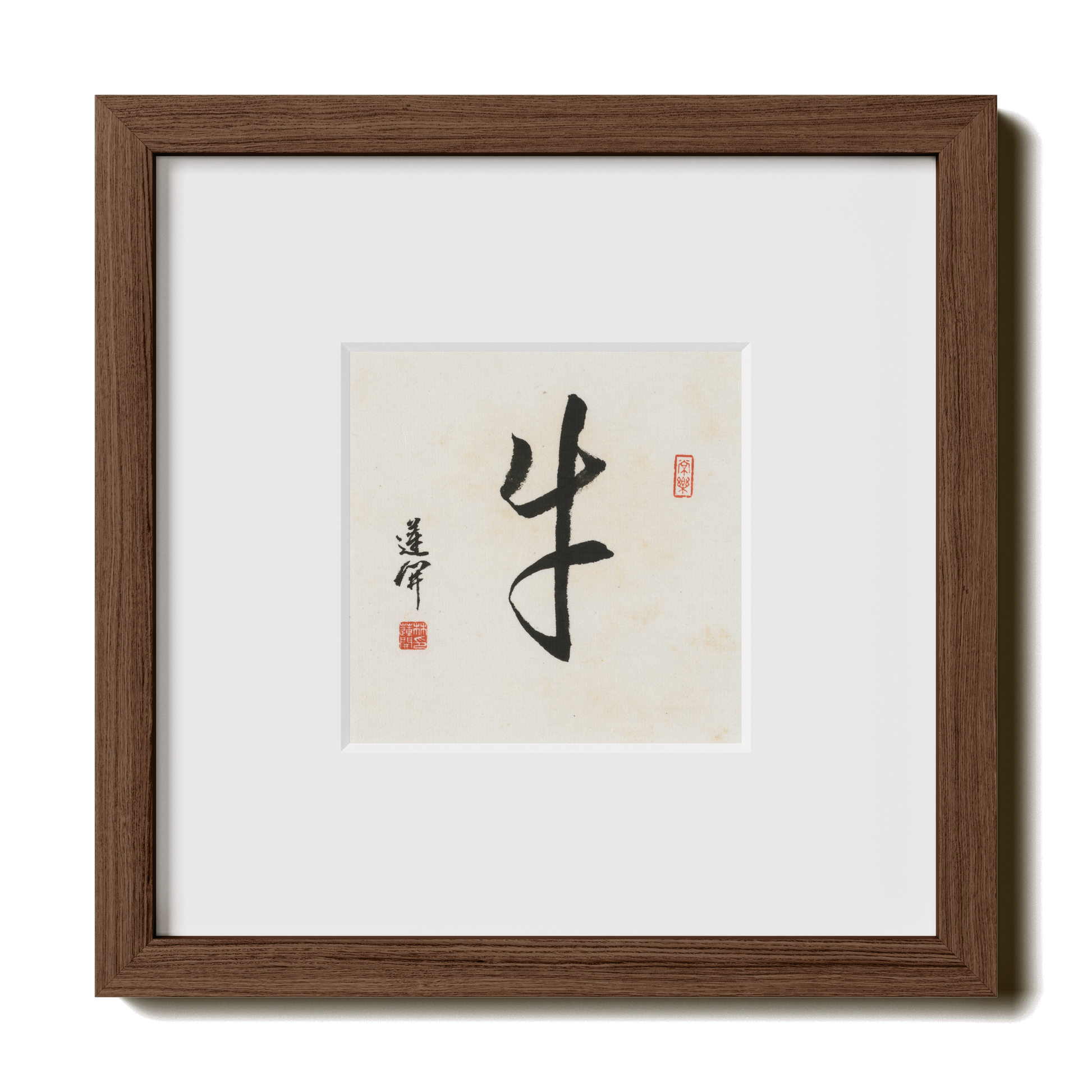 Thumbnail Label: 10X10" Walnut Premium Oak | Gallery Source: Transparent