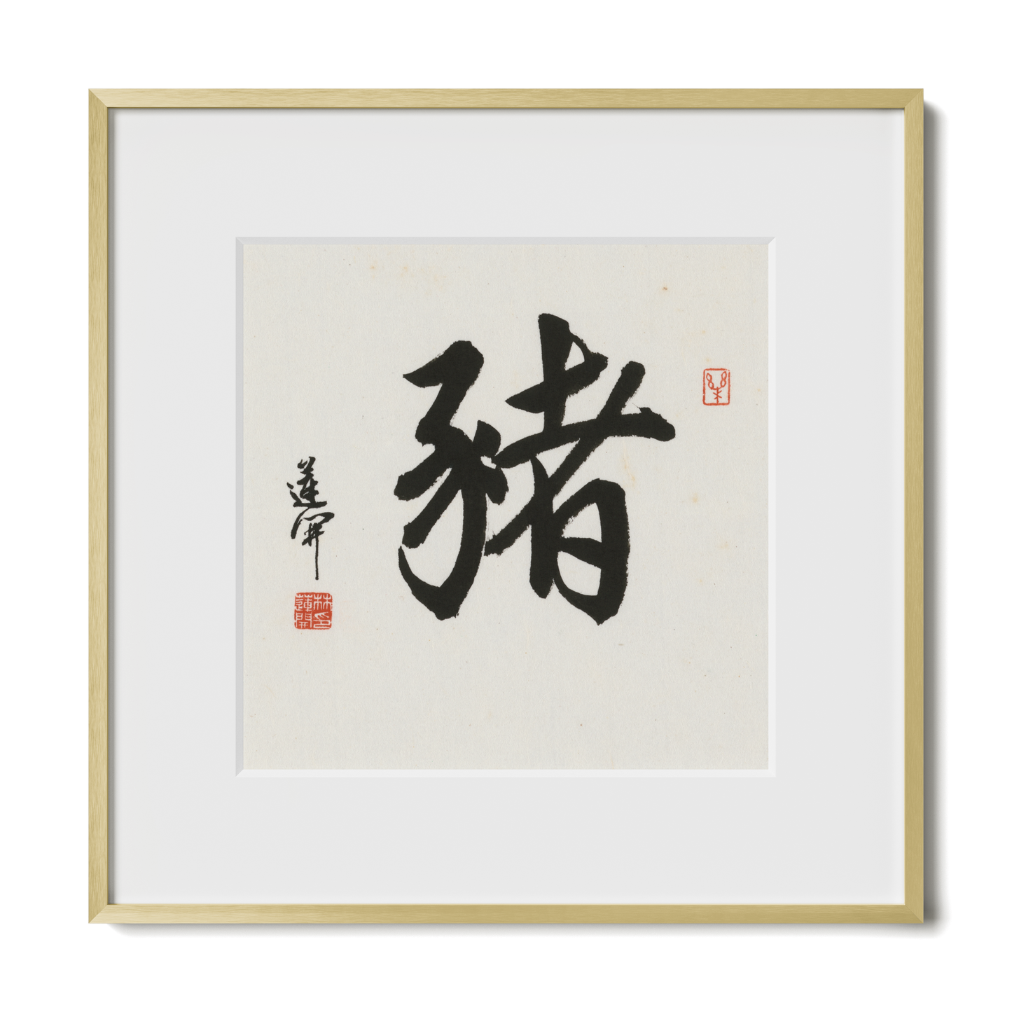 Thumbnail Label: 12X12" Gold Premium Metal | Gallery Source: Transparent