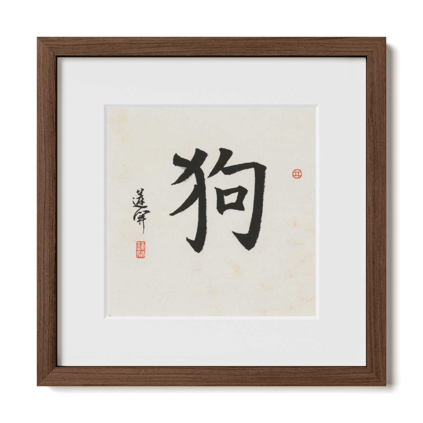 Thumbnail Label: 12X12" Walnut Premium Oak | Gallery Source: Transparent