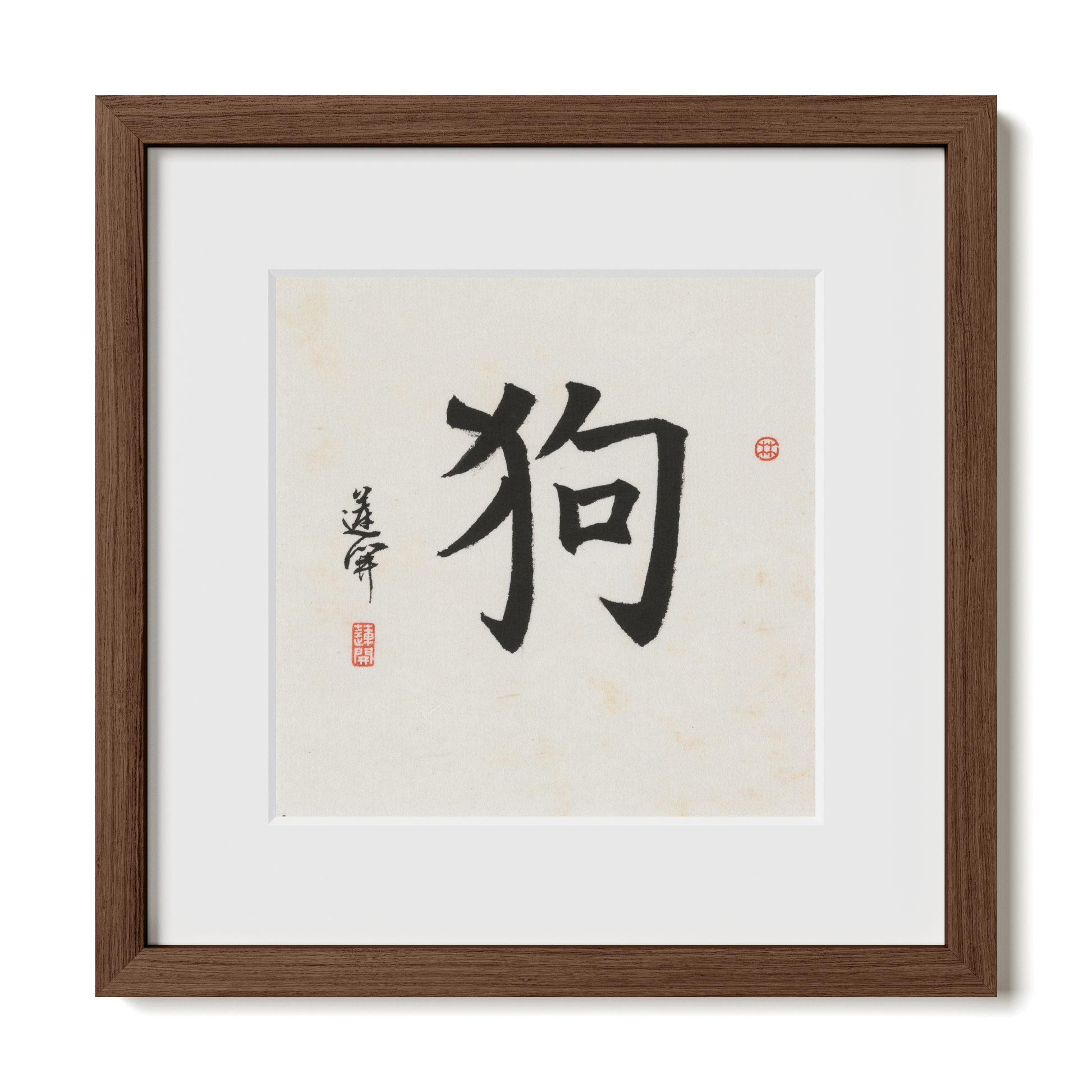 Thumbnail Label: 12X12" Walnut Premium Oak | Gallery Source: Transparent
