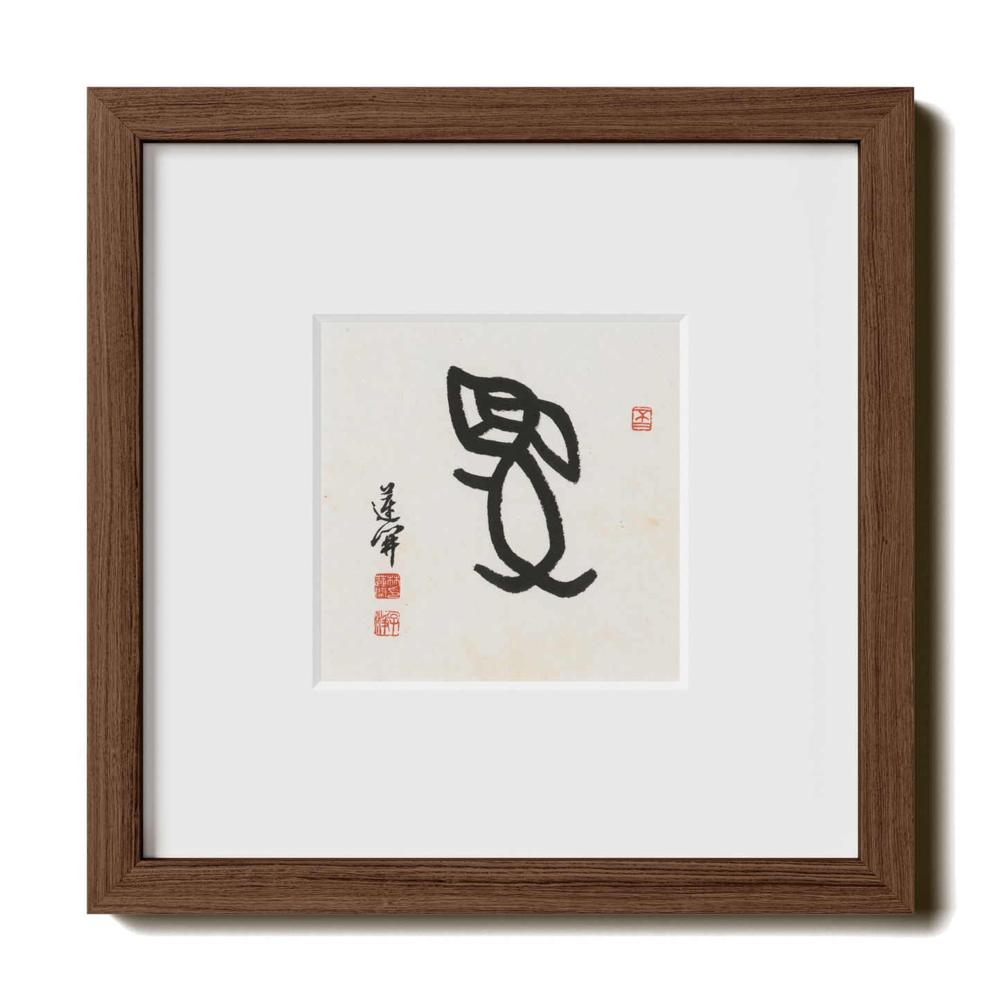 Thumbnail Label: 10X10" Walnut Premium Oak | Gallery Source: Transparent