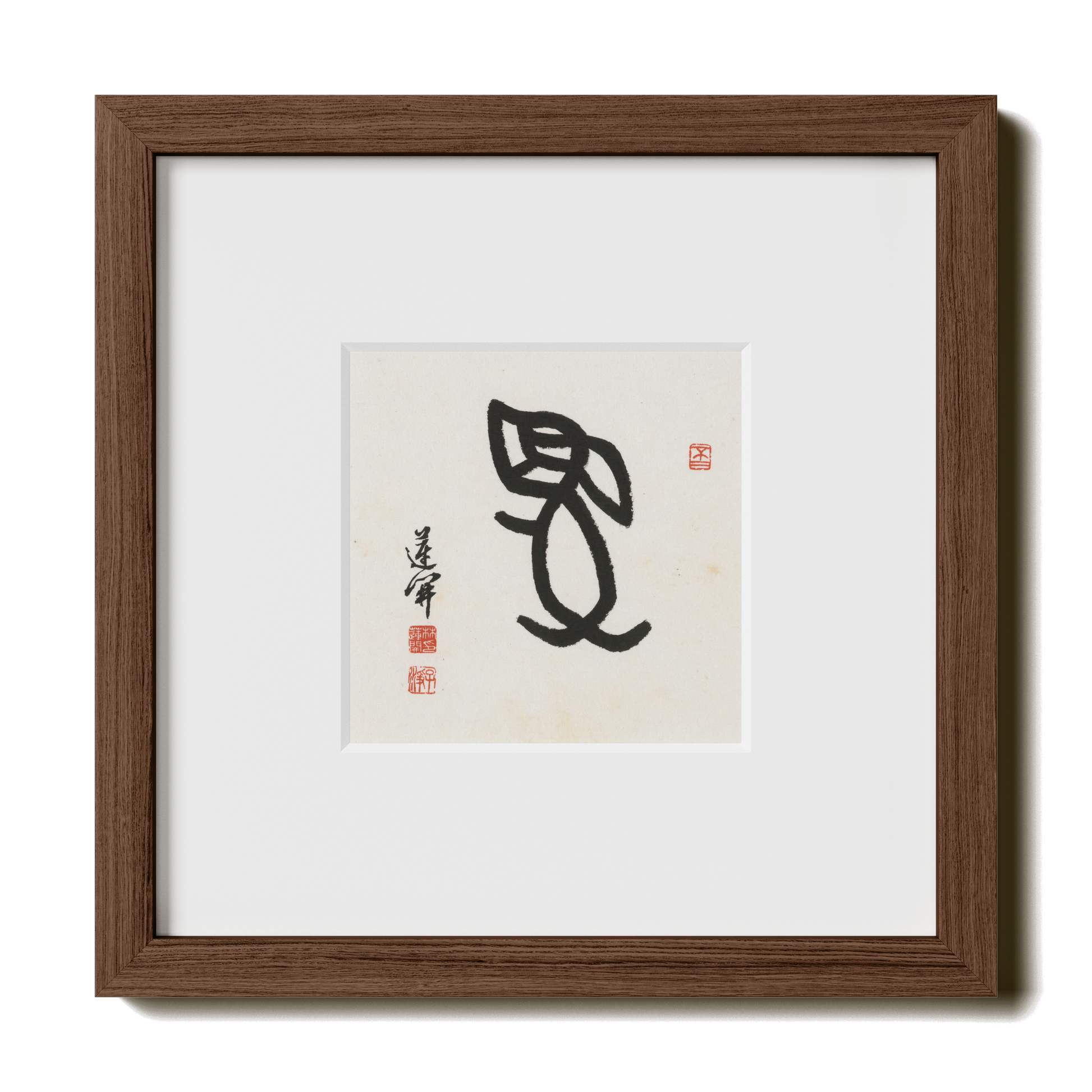 Thumbnail Label: 10X10" Walnut Premium Oak | Gallery Source: Transparent