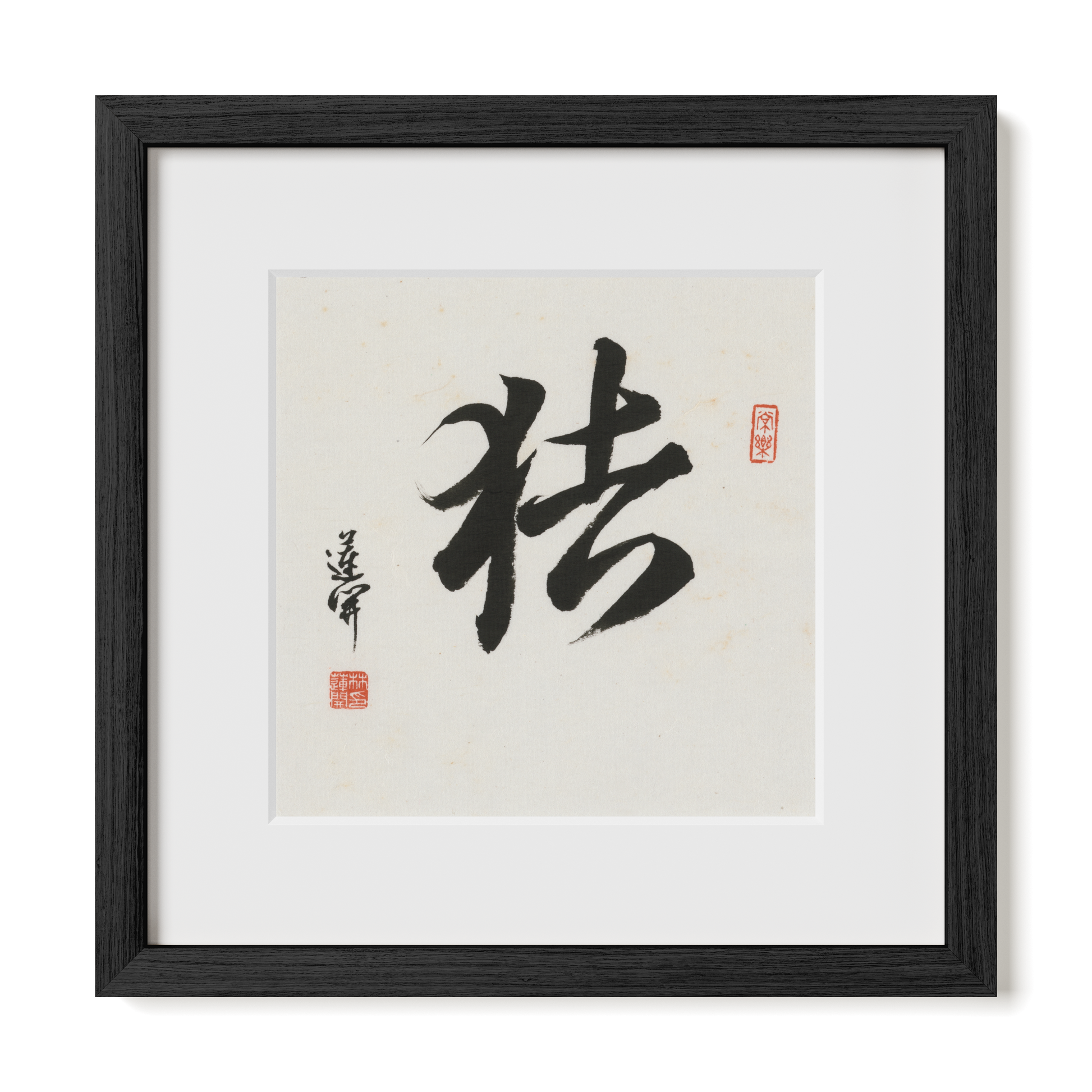 Thumbnail Label: 12X12" Black Premium Oak | Gallery Source: Transparent