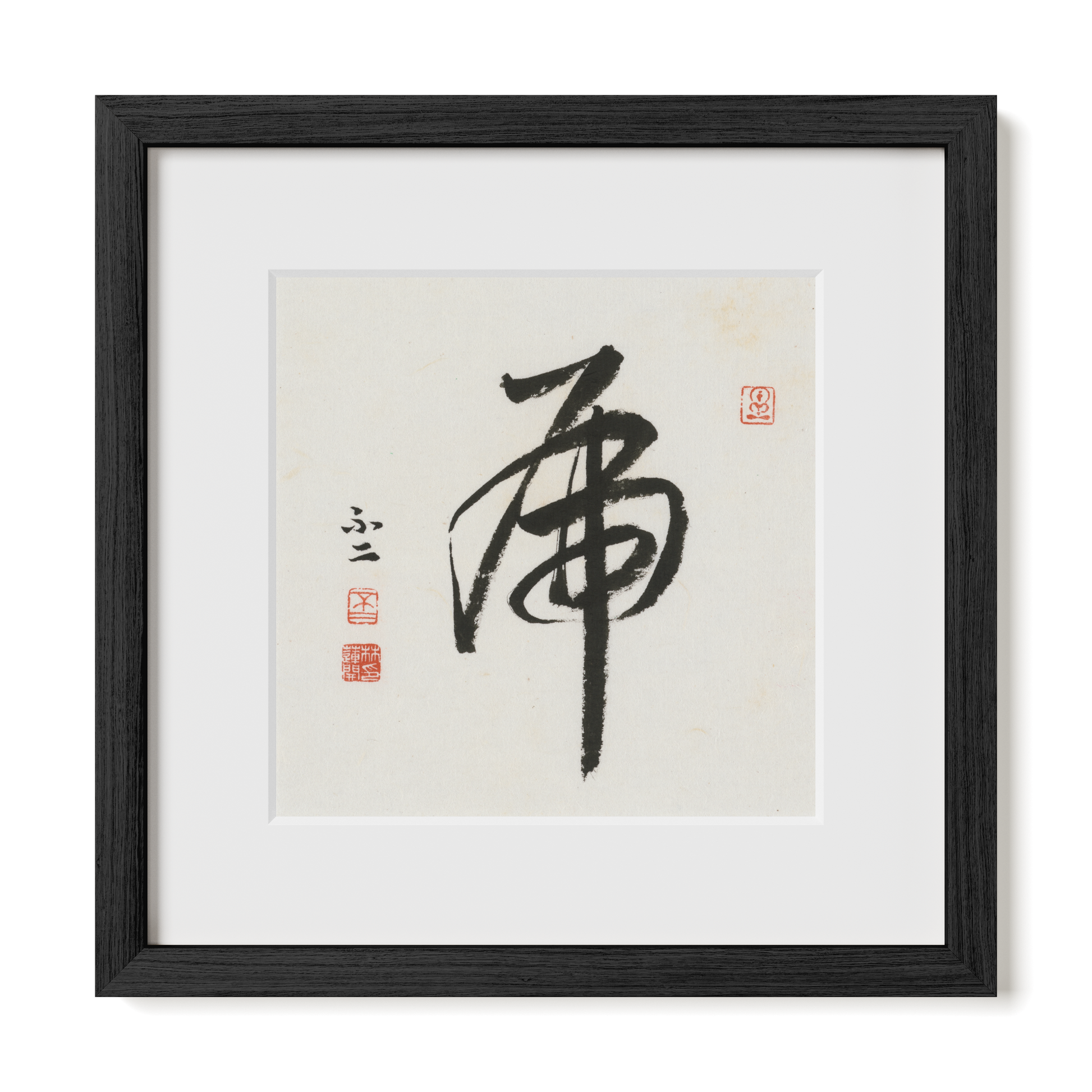 Thumbnail Label: 12X12" Black Premium Oak | Gallery Source: Transparent